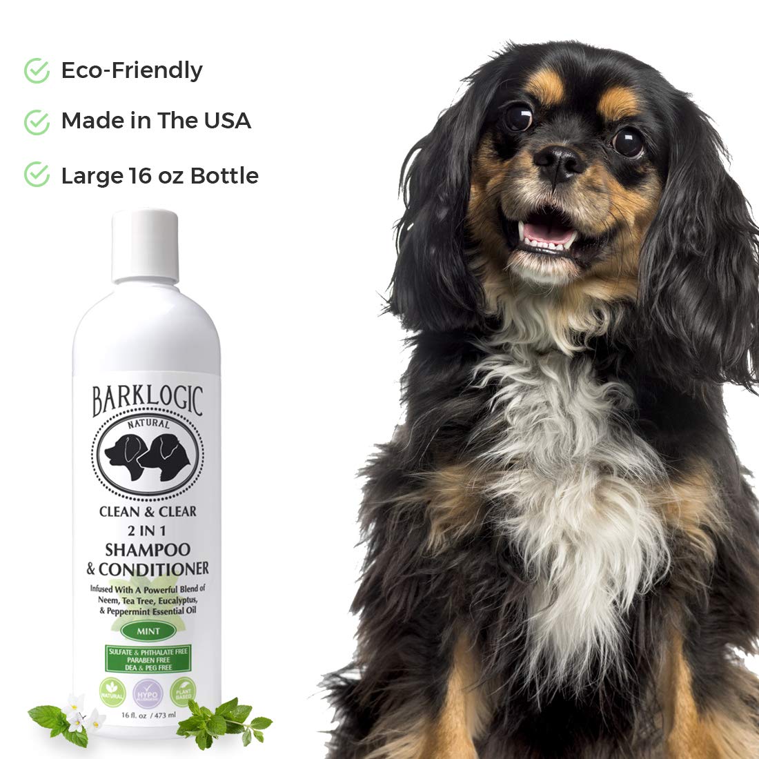 Clean & Clear 2 in 1 Shampoo & Conditioner, Mint, 16 fl oz - Grooming Essentials for A Quality Coat - No Parabens, No Phthalates, No Sulfates, No DEA & PEG, Safe & Vegan