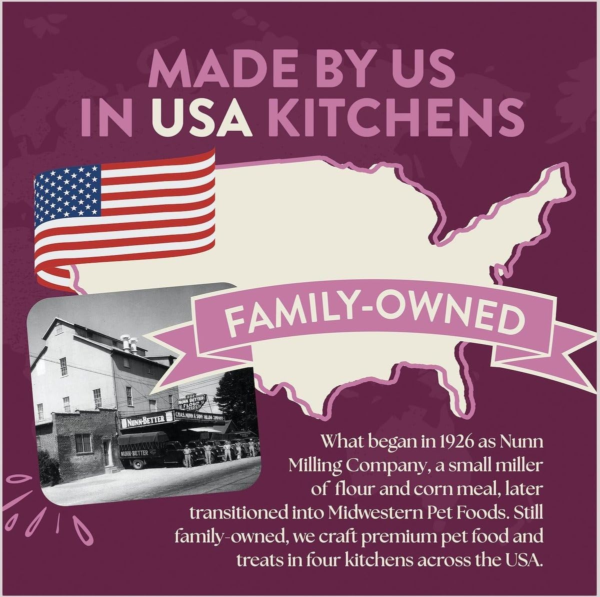 Earthborn Holistic Venture Rabbit Meal & Pumpkin Limited Ingredient Diet (4 Pounds)