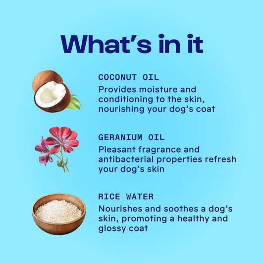 Organic Essential Oils, Vet & Scientist Formulated - Clean, Vegan, Paraben & Sulfate-Free - 300 ml Fresh Sage Breeze Scent - Itch Relief - Shampoo Conditioner Detangles Moisturizes 4-in-1 Luxury Item