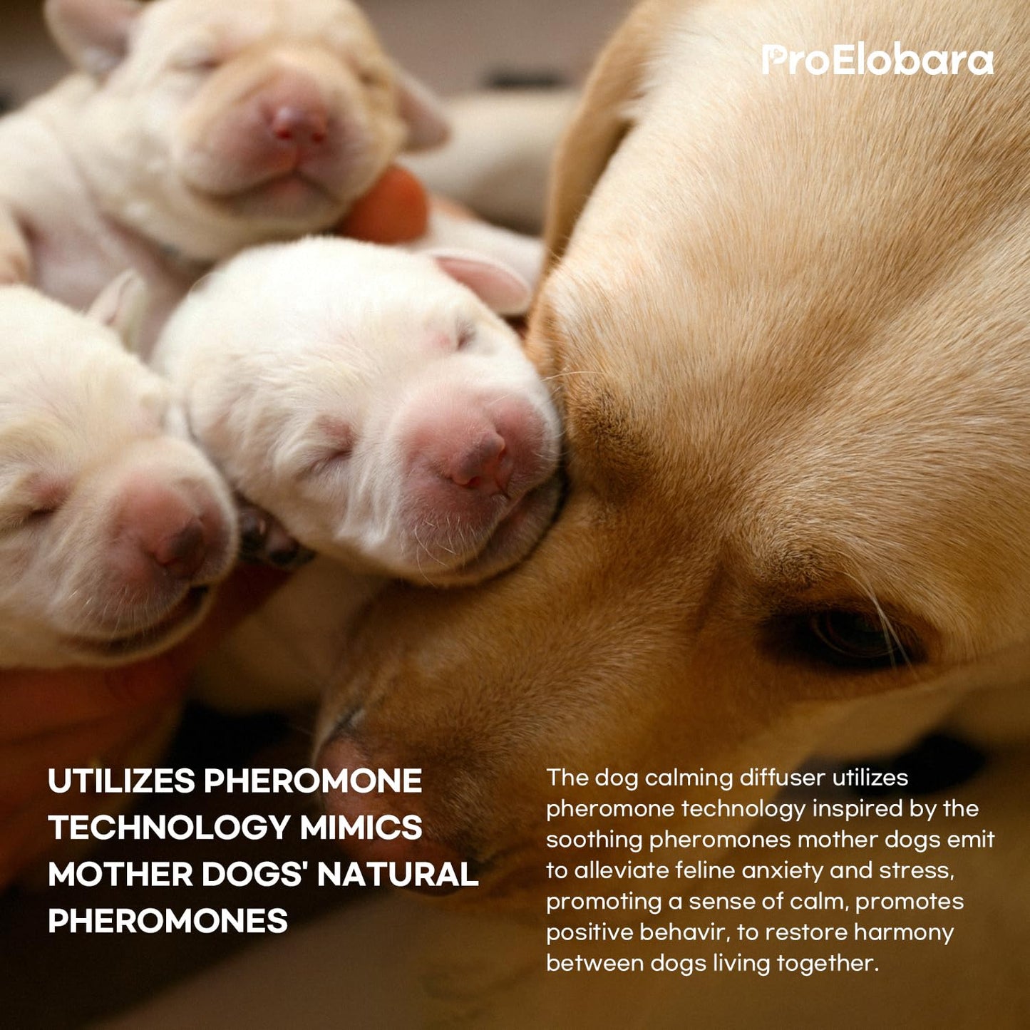 ProElobara Dog Calming Pheromone Diffuser Refills: Dog Calming Pheromones Diffuser Refills - Reduces Stress & Anxiety Calming Pheromone Diffuser Refill for Dogs - 3 Refills / 90 Day Supply