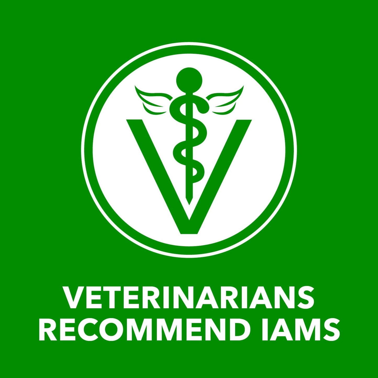 IAMS Proactive Health Adult Wet Dog Food Chunks in Gravy, Chicken Recipe, 13 oz. Cans (12 Count, Pack of 1)