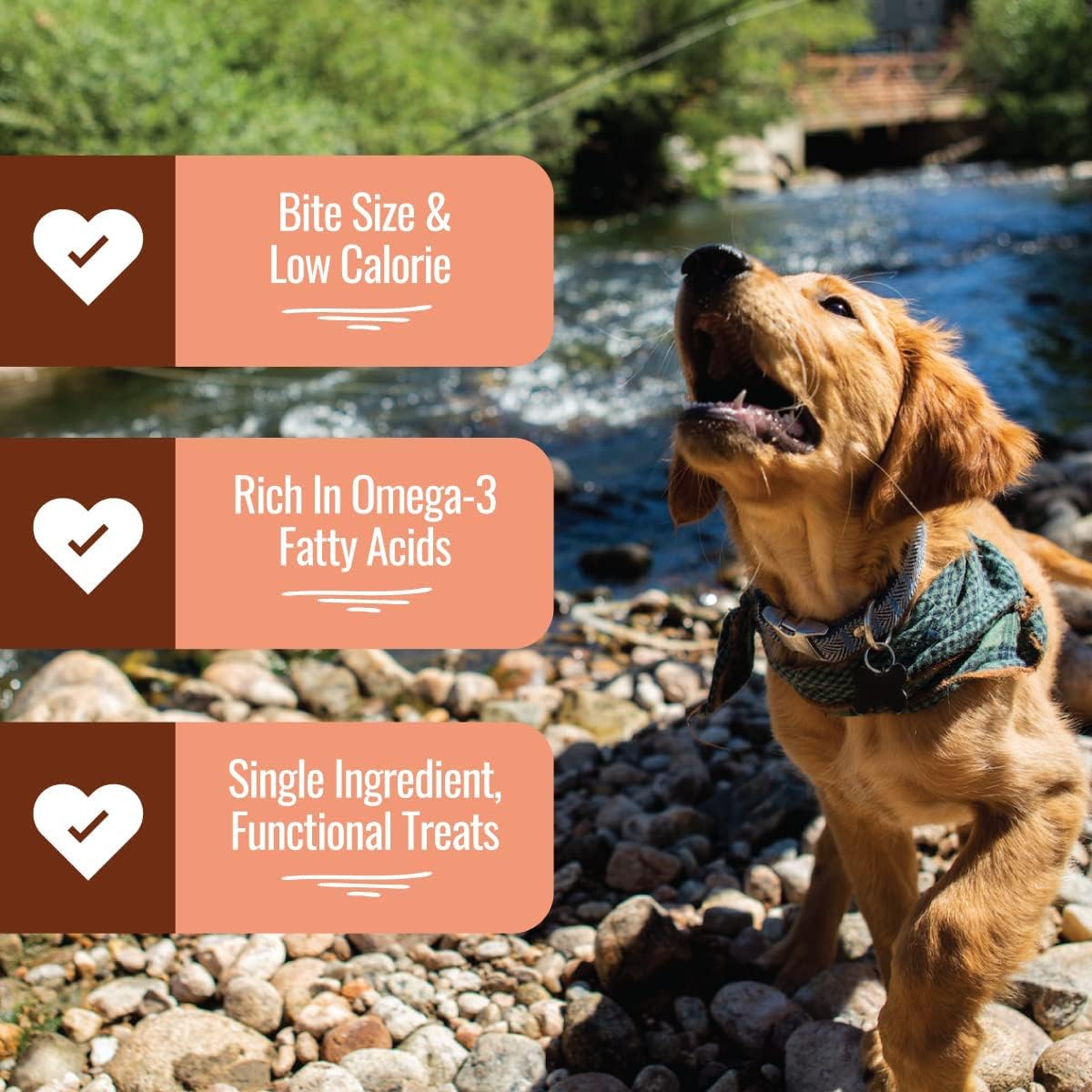 Smart Cookie Freeze Dried Salmon Bites - Single Ingredient Freeze Dried Treats for Dogs - Wild Caught Alaskan Salmon Dog Training Treats & Dog Food Topper - Made in USA - 2oz Bag, 3 Pack