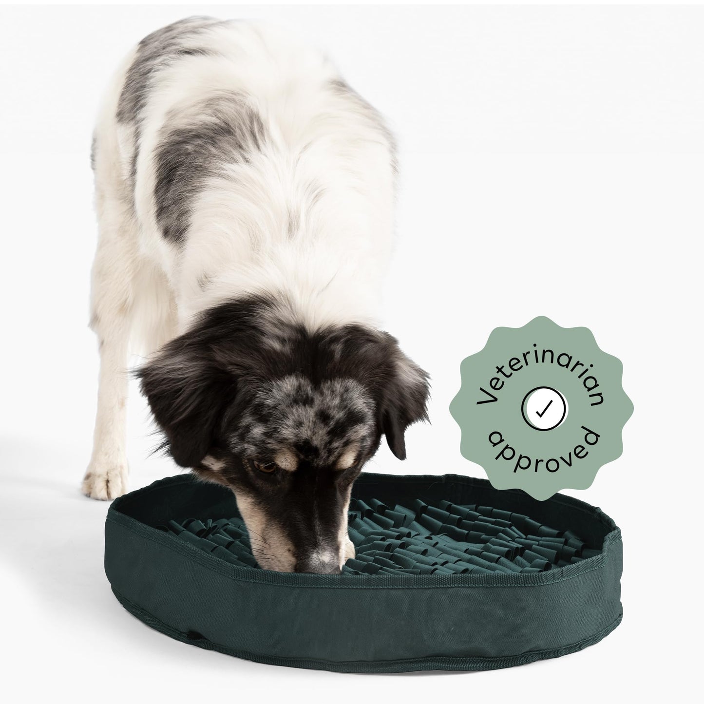 Reggie Stimulating Feeder Mat for Dogs | Slow Feeding Snuffle Mat to Reduce Speed Eating, Stress & Boredom | Dog Enrichment Toy for Mental Stimulation | Vet-Approved, Durable & Washable | Hunter Green