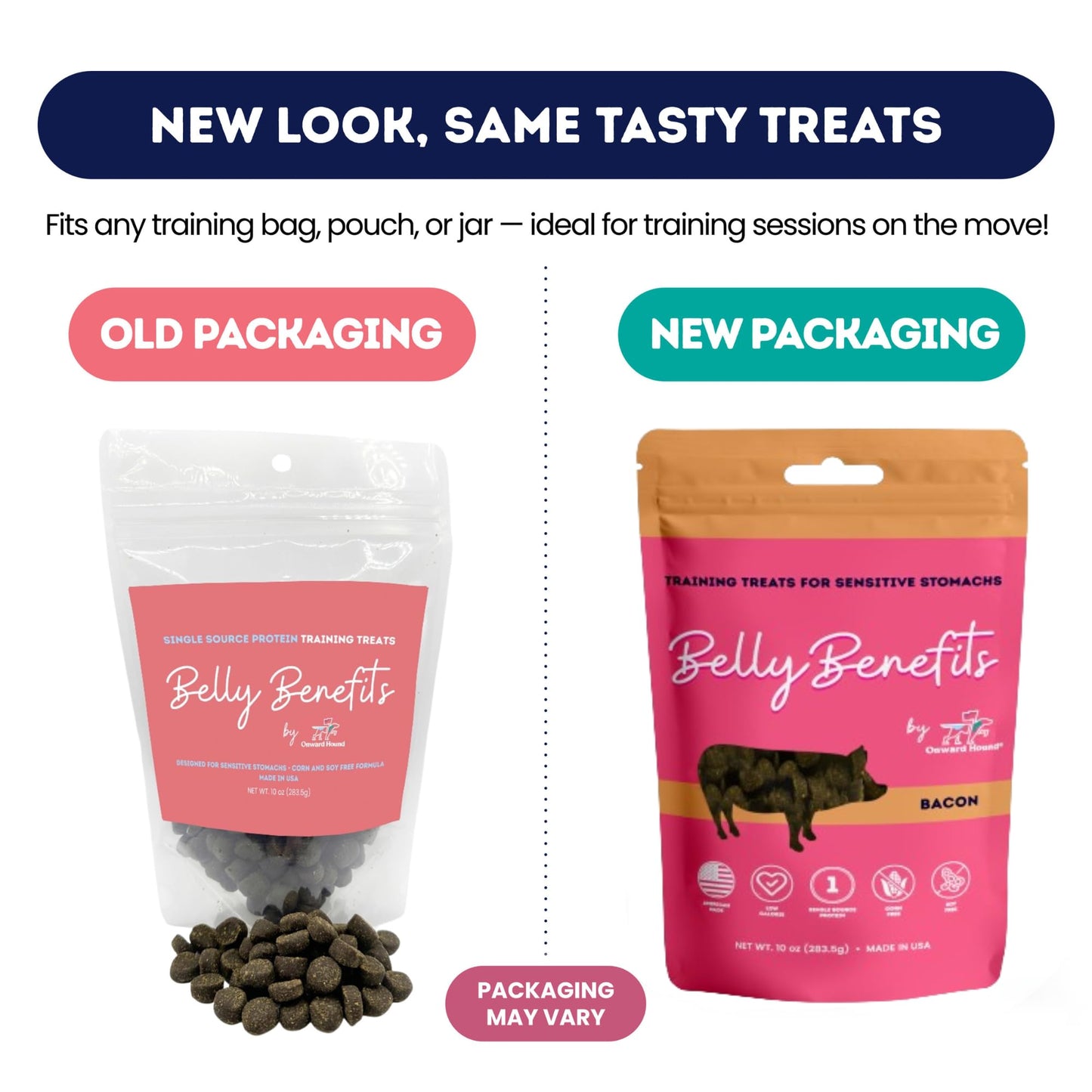 Onward Hound Training Treats for Dogs - Soft Salmon - Low Calorie Dog Training Treats for Sensitive Stomachs with Single Source Premium Protein, Corn Free, & Soy Free Formula - 10 oz