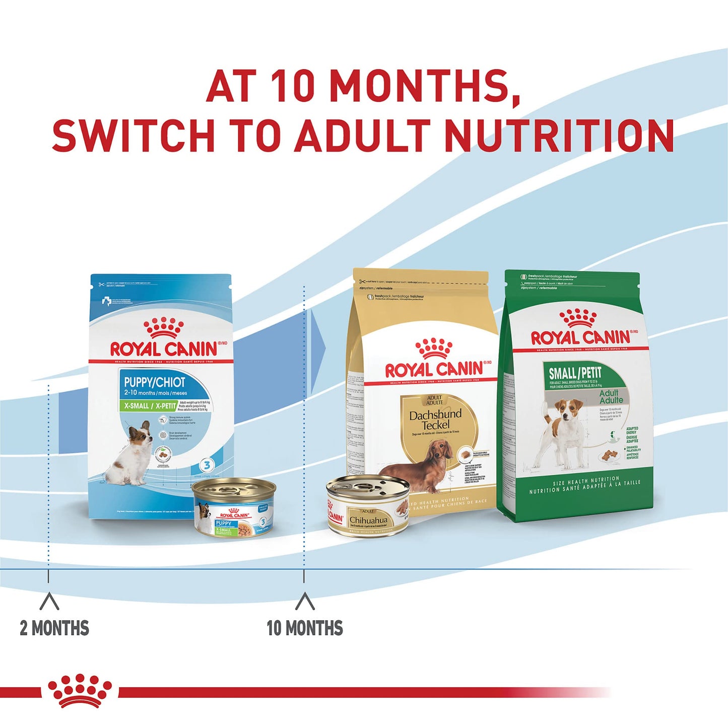 Royal Canin Size Health Nutrition X-Small Puppy Thin Slices in Gravy Dog Food, 3 oz (Pack of 24)