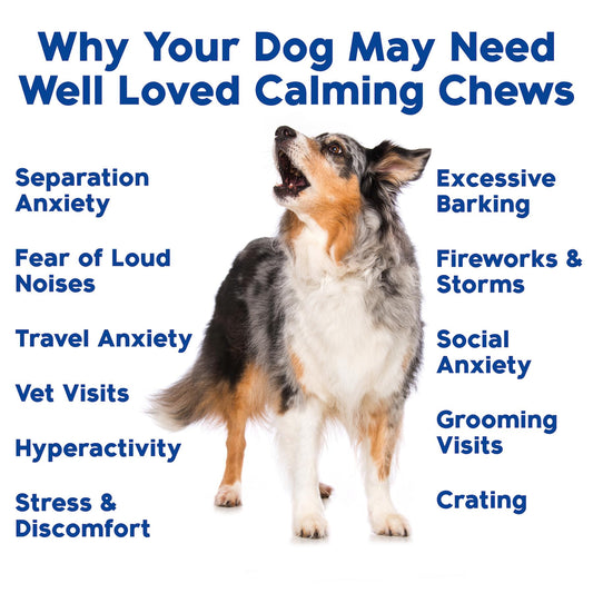 Well Loved Calming Chews for Dogs - Dog Calm Treats, Made in USA, Vet Recommended, Behavior Support with Melatonin & Hemp, Stress, Separation, Fireworks, Travel, Extra Strength