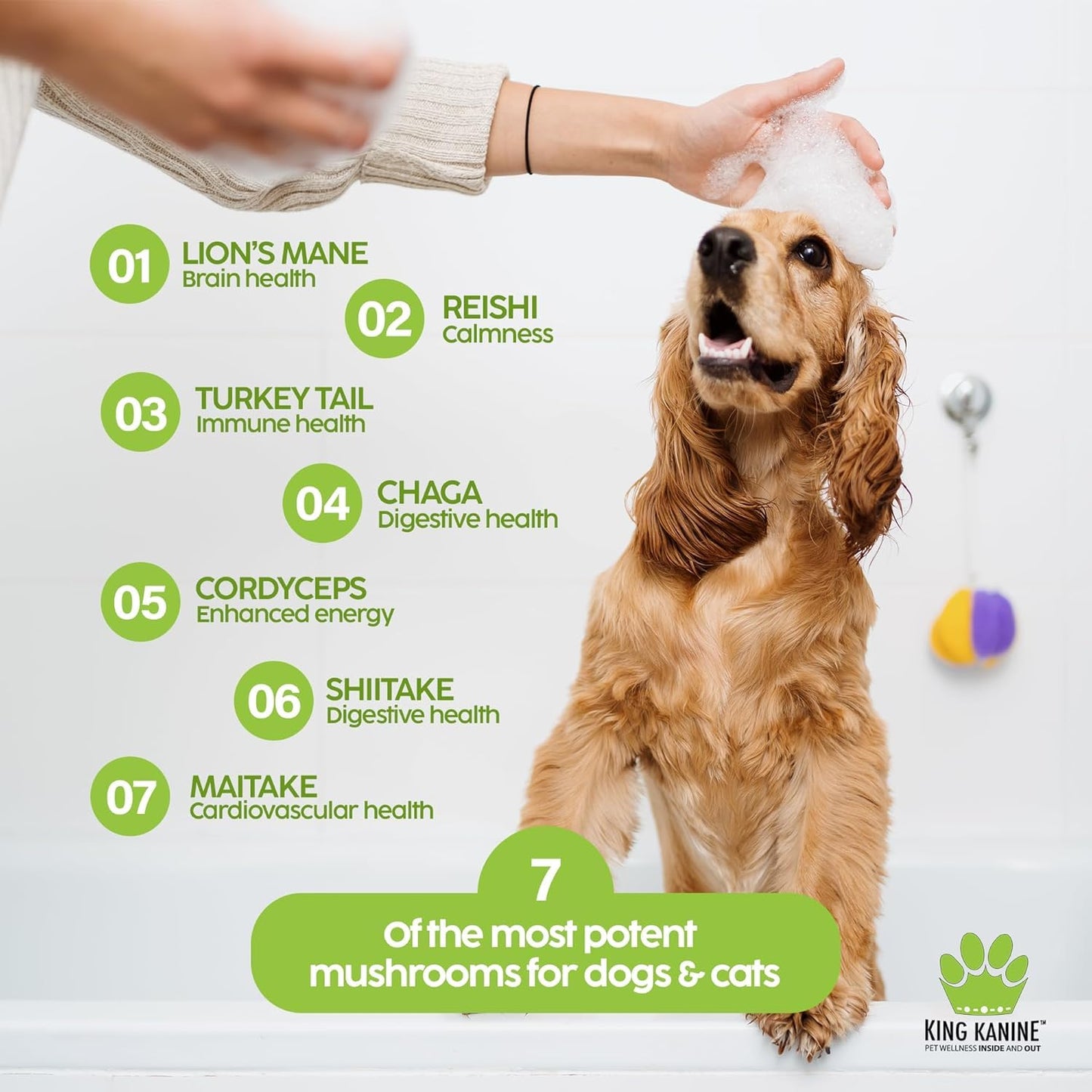 King Kanine Mushroom Plus, Protein & Joints 2 oz | Organic Powder to Improve Optimal Health & Pets Wellness | Supplement for Dogs & Cats Care Made with Fiber & Vitamins | Veterinarian Approved