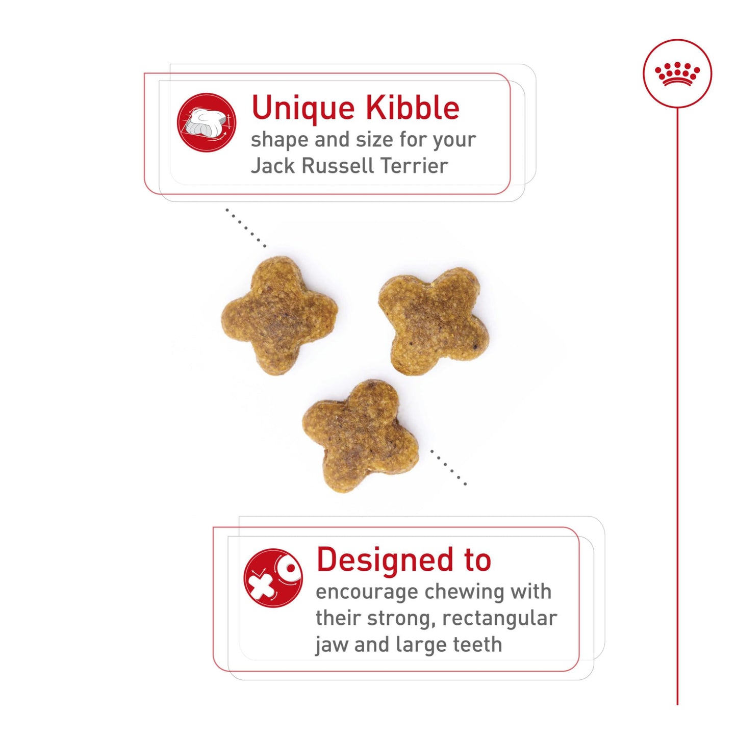 Royal Canin Jack Russell Terrier Adult Dry Dog Food, 10 lb bag