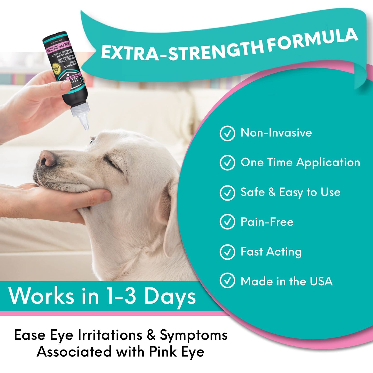 earthbath, Oatmeal & Aloe Dog Shampoo - Oatmeal Shampoo for Dogs, Itchy, Dry Skin Relief, Dog Wash, Made in USA, Cruelty Free, Fragrance Free Pet Shampoos - 16 Oz (1 Pack)