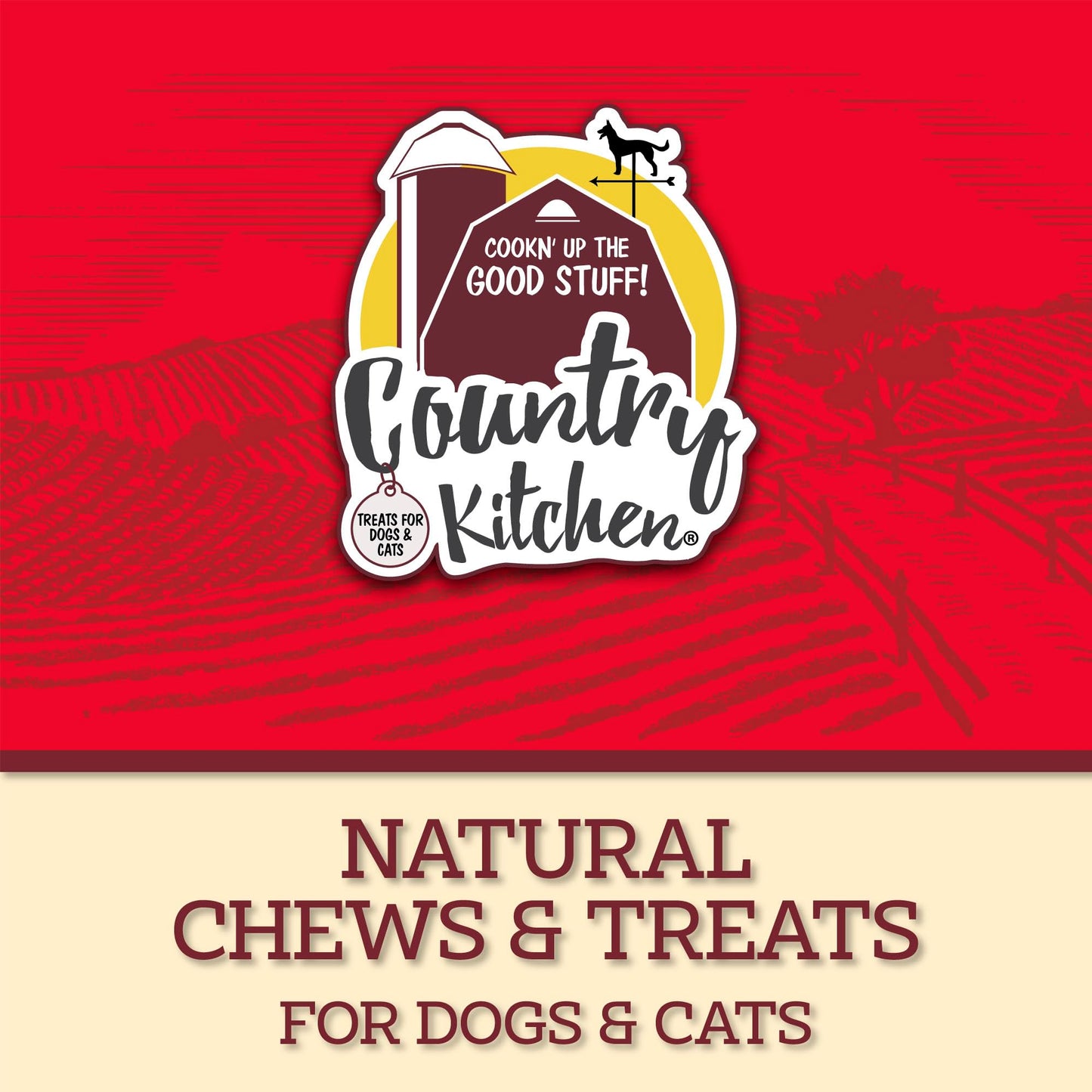 Country Kitchen Chicken Jerky Tender Dog Treats, Made with Real Chicken,High Protein, Low Fat, No Artificial Colors, 16 oz