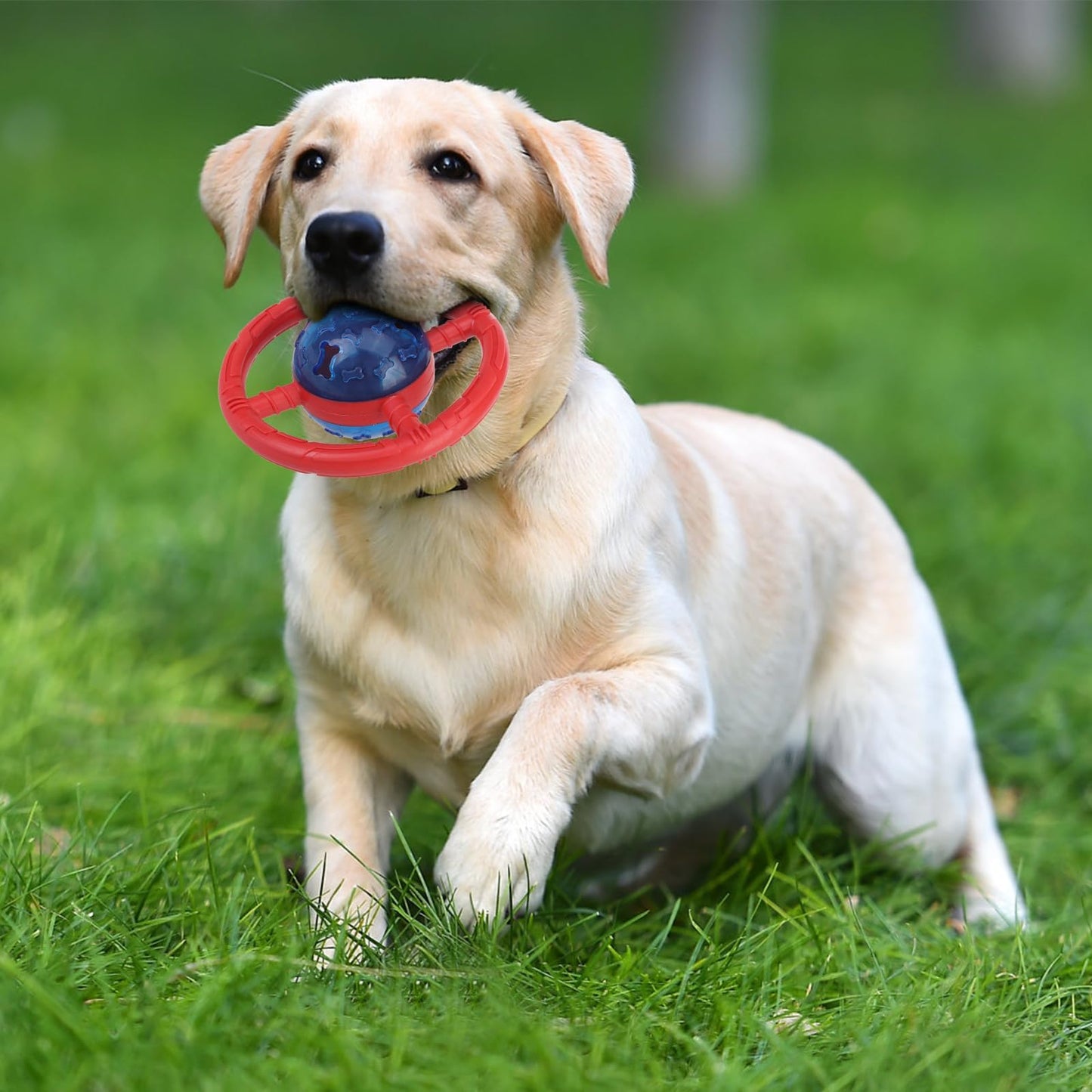 ESGPET Treat Dispensing Dog Toys, Slow Feeder for Health Eating, Interactive Dog Toys for Boredom, Durable Dog Food Puzzle for Small Medium Dog to Keep Them Busy