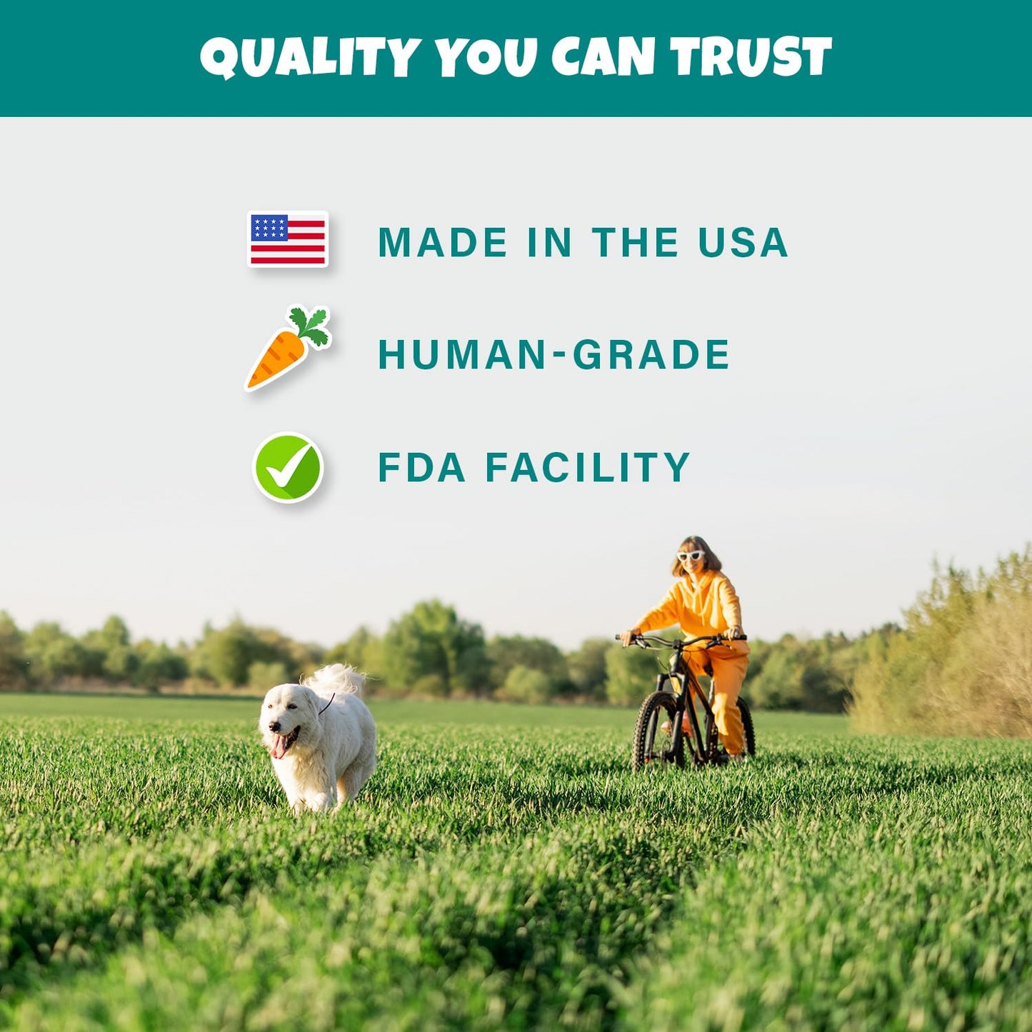 PETIPET Bananas+Strawberries Plant-Based Fruit Dog Treats - Strawberry, Apple, Banana Soft & Chewy Treats - Healthy, Vegetarian, Vegan - Organic Ingredients, Low-Protein, Hypoallergenic, Gluten-Free