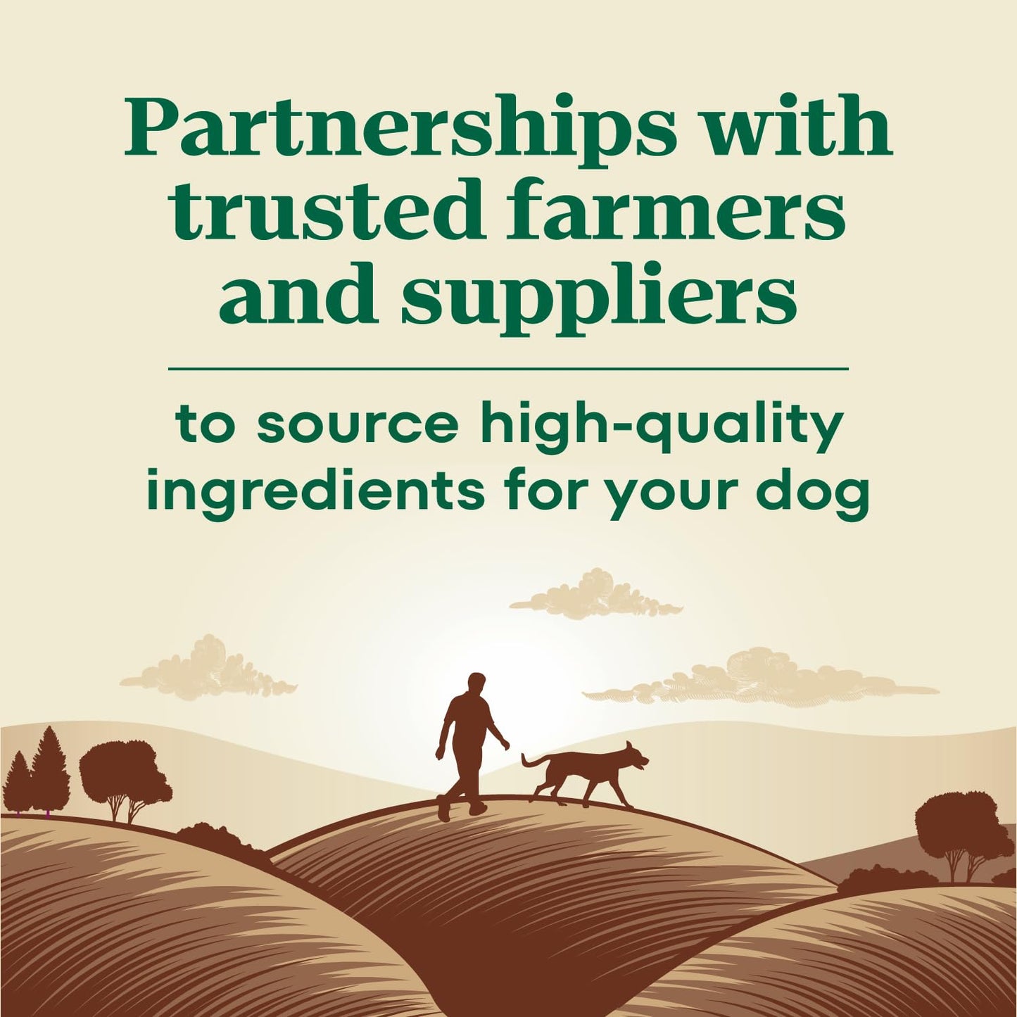 Nutro Max Adult Dry Dog Food with Beef, 25 lb. Bag