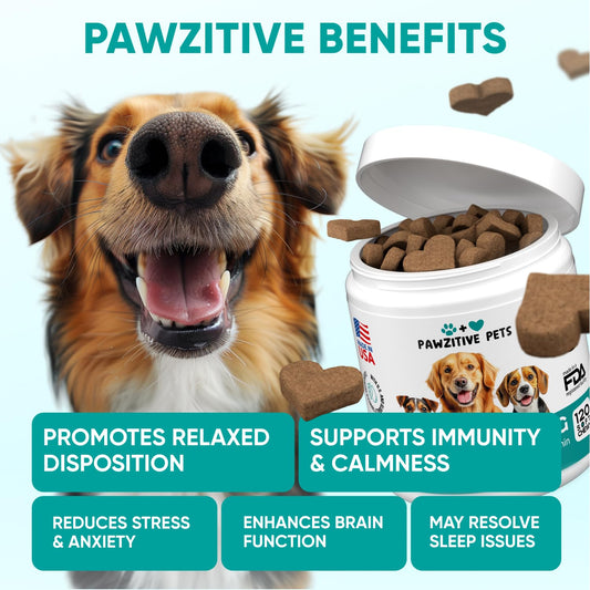 POPPAW Hemp & Melatonin Calming Drops for Dogs – Day & Night Calming Treat for Anxiety Relief, Stress, Aggression, Separation, Relaxation & Sleep Aid, Chicken Flavor, 2 FL Oz