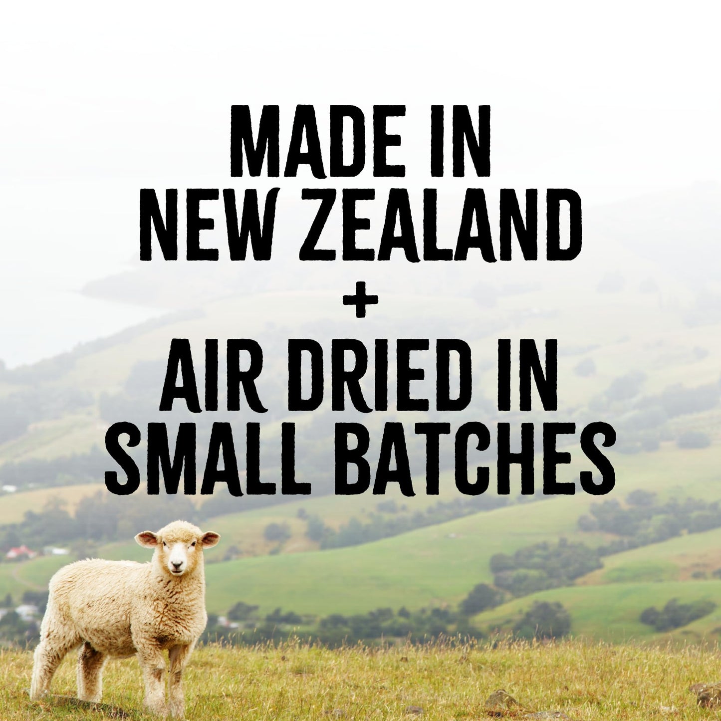 RawTernative Air Dried Dog Food, High Protein, Over 90% Real Chicken & Liver + New Zealand Green Mussels, Complete Meal or Topper, Grain Free, Gluten Free, Non GMO, (3 lb Bag)