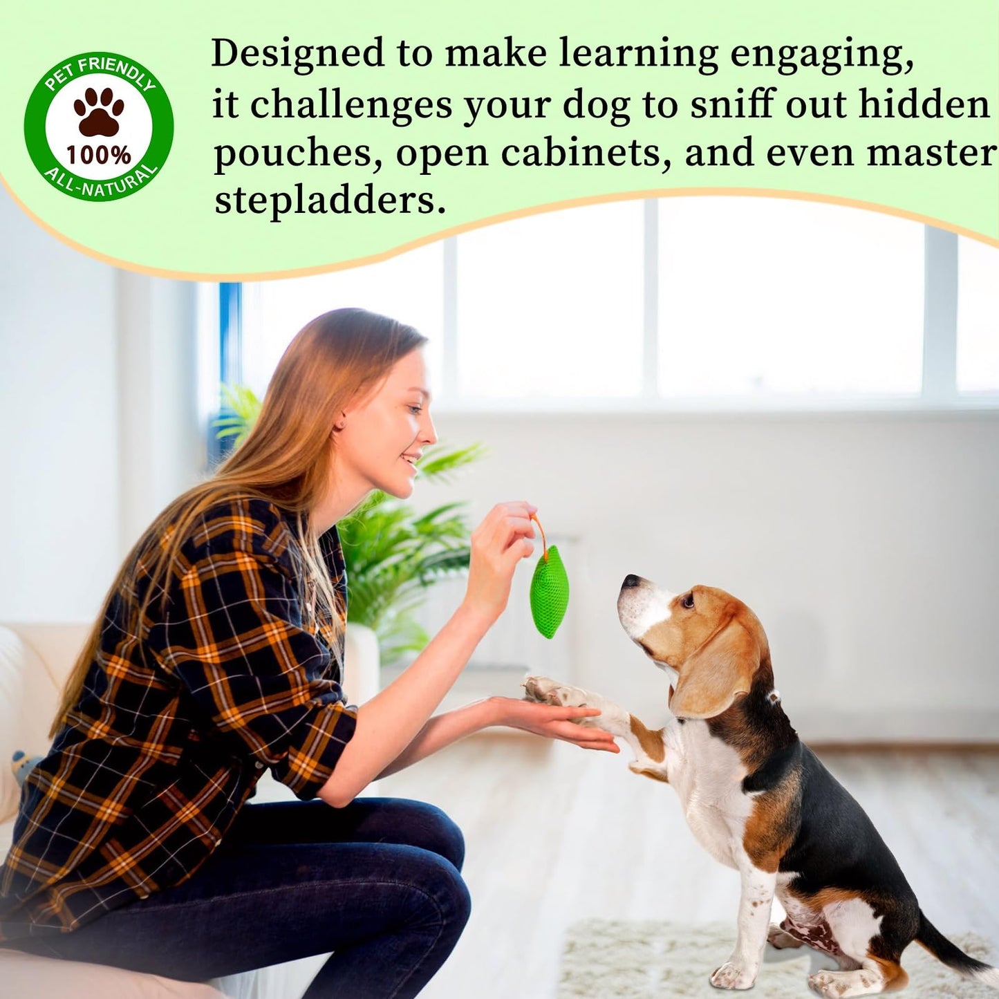 Dog scent training kit,Dog Brain Games, Hide and Seek Dog Toys, Dog Games - Fun Nose Work for Dogs, Sniff and Seek Dog Sniffing Toys , Dog Nosework Kit, Scent Work Kit for All Ages Dog (Green)