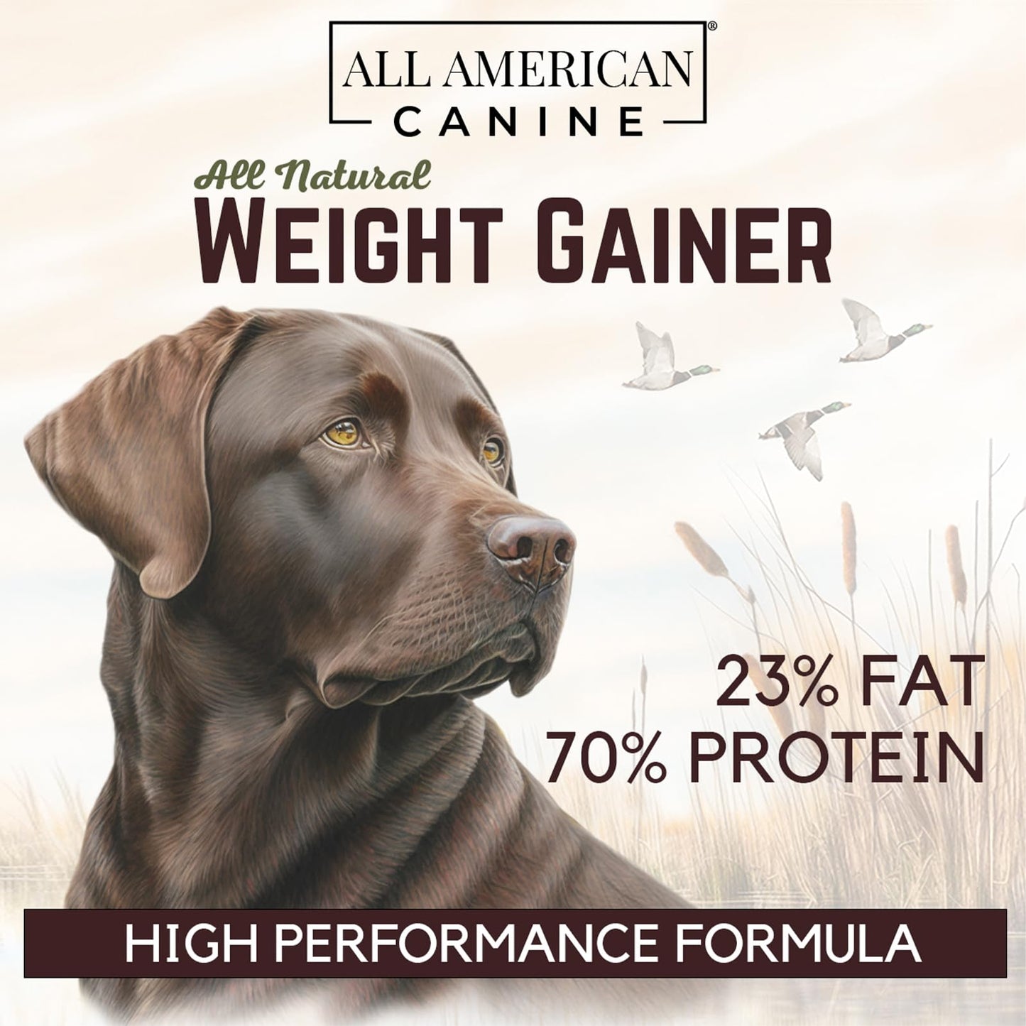 All American Canine Bulk Dog Weight Gainer – High Calorie Dog Food Supplement & Protein Powder for Rapid Weight Gain, Mass, and Recovery – Appetite Stimulant – 230 Servings