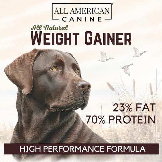 All American Canine Bulk Dog Weight Gainer – High Calorie Dog Food Supplement & Protein Powder for Rapid Weight Gain, Mass, and Recovery – Appetite Stimulant – 230 Servings