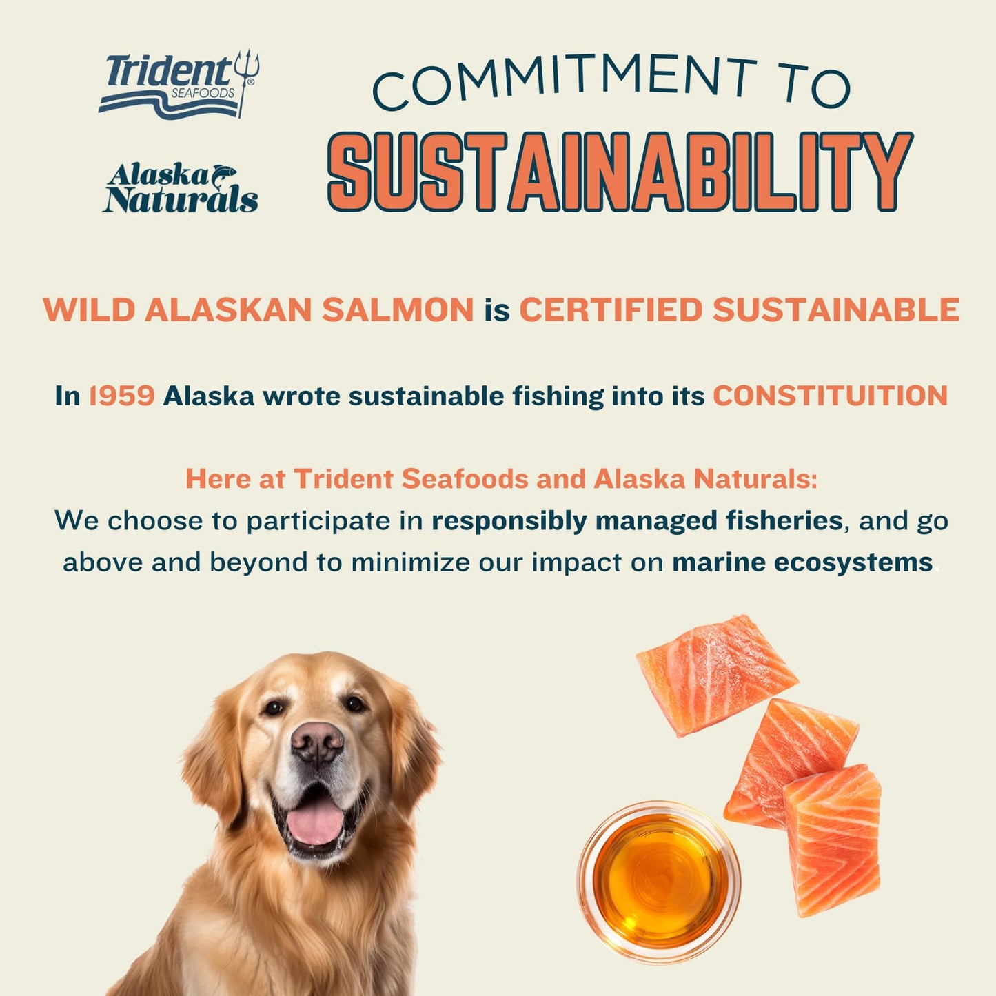 Alaska Naturals Wild Alaskan Salmon Fish Oil Supplement for Dogs Skin and Coat with EPA DHA Omega 3 Fatty Acids Liquid Food Topper 32 oz.