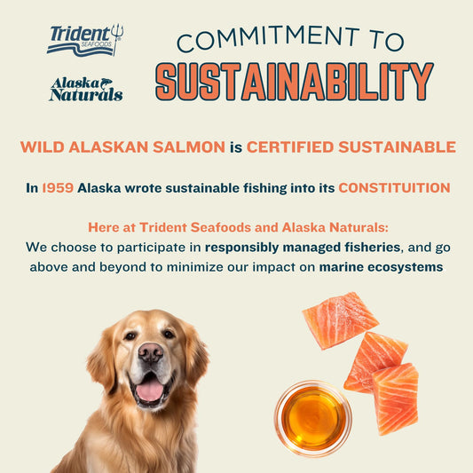 Alaska Naturals Wild Alaskan Salmon Fish Oil Supplement for Dogs Skin and Coat with EPA DHA Omega 3 Fatty Acids Liquid Food Topper 32 oz.