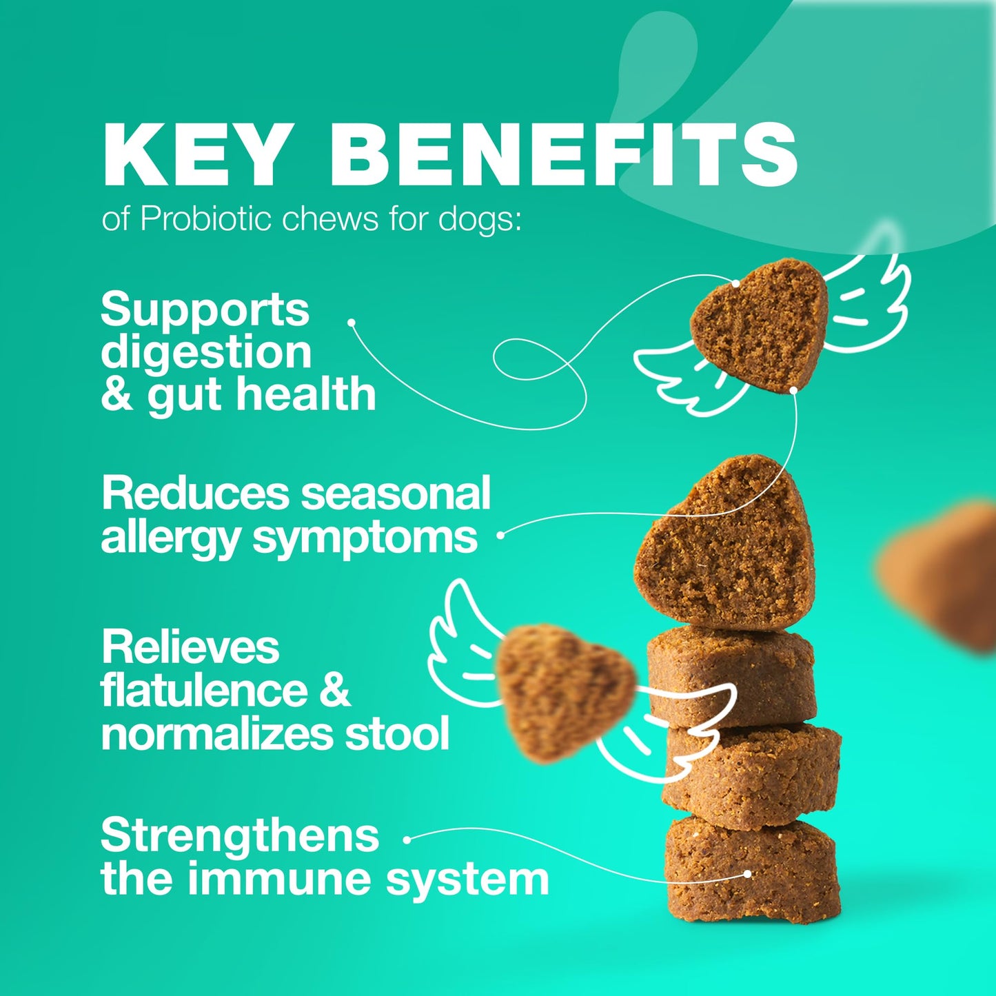 Dog Probiotic Chews with Digestive Enzymes - Probiotics for Dogs, Yeast Powder, Gut Health, Digestion, Immunity, Yeast Balance, Allergies Support - Gut Flora - All Breeds Canine Soft Chews