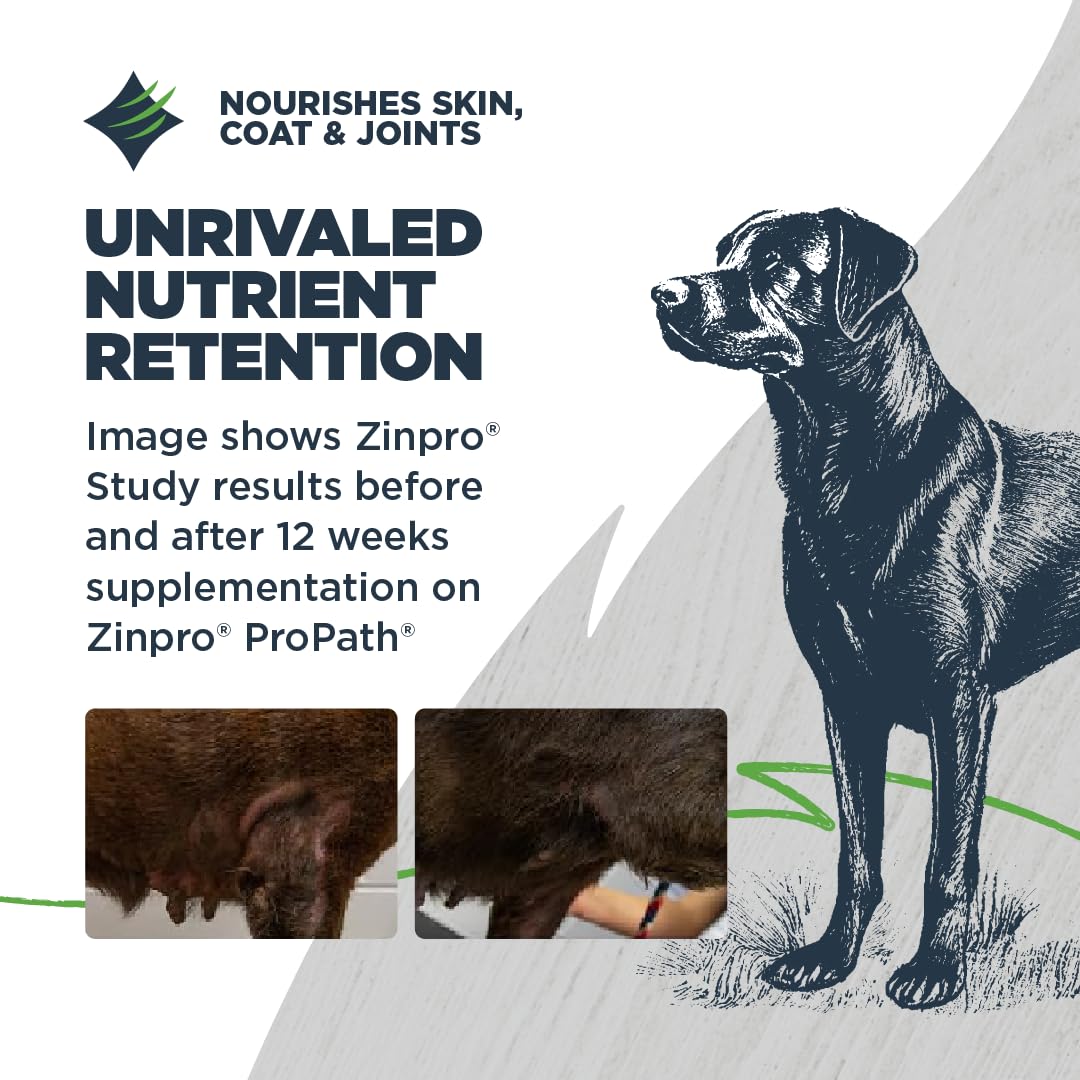 Blackwood Lean/Senior Dry Dog Food, Chicken Meal with Ancient Grains, 4.5 Pound Bag for Weight Management and Muscle Mass Maintenance