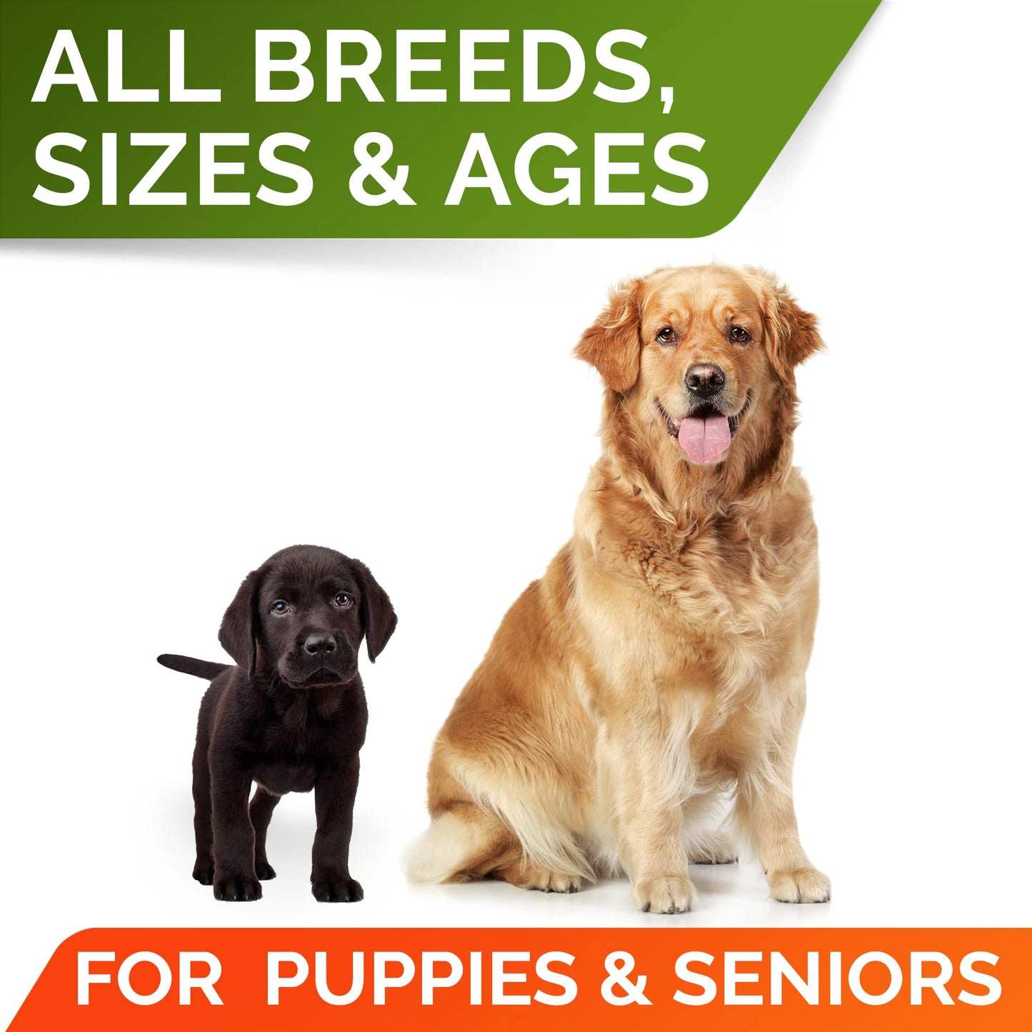 Holistic Select Natural Dry Dog Food, Large & Giant Breed Adult Recipe, 30-Pound Bag