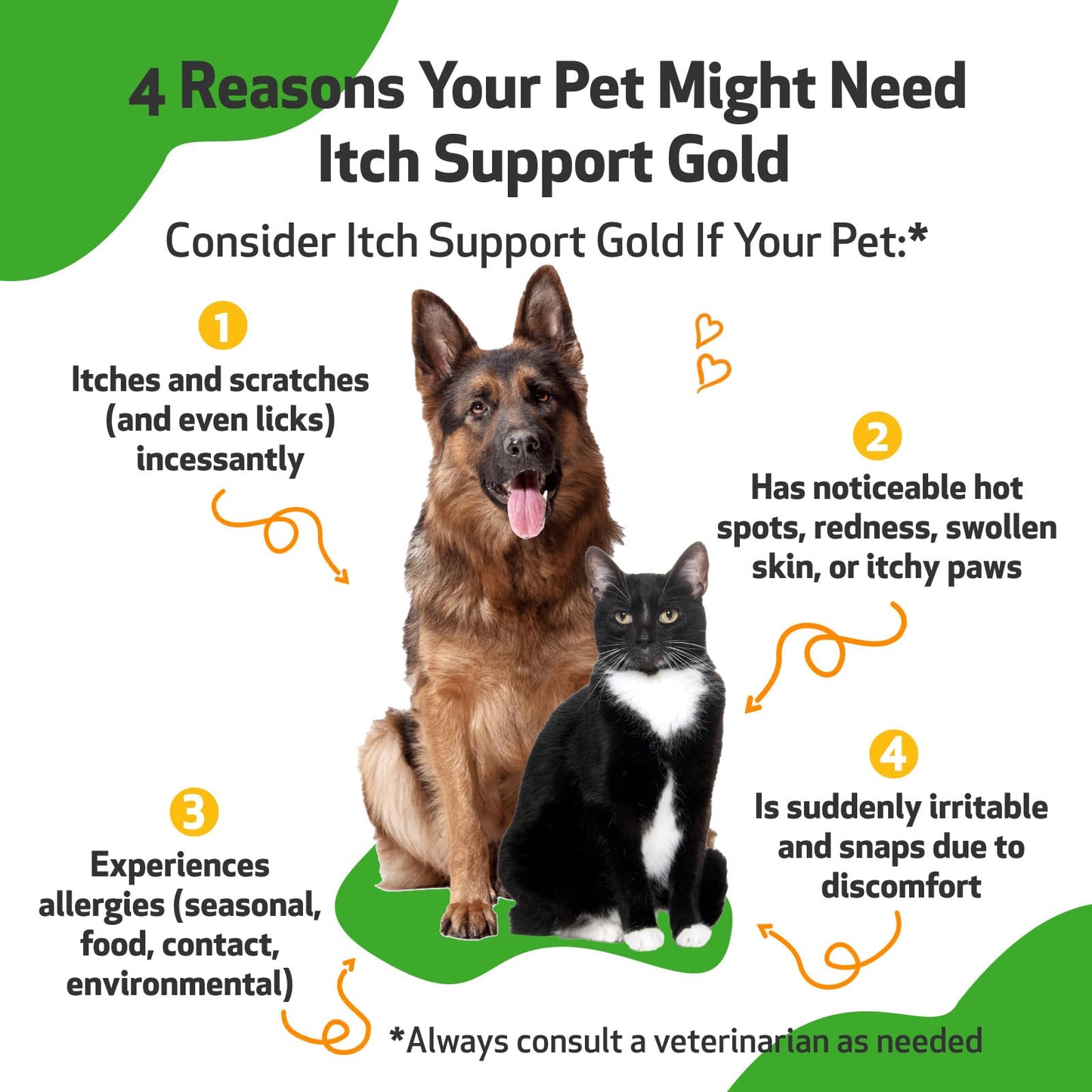 Pet Wellbeing Itch Support Gold for Dogs - Occasional Itching, Scratching, and Hot Spots, Environmental and Seasonal Allergies, Dong Quai - Veterinarian-Formulated Herbal Supplement (4 fl oz (118 ml))