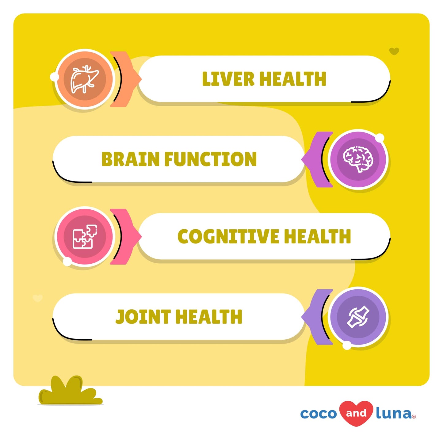 Same for Dogs - 120 Chewable Tablets - S-Adenosyl-L-Methionine, Liver Supplement - Brain Health, Promotes Cognitive Support, Liver Support