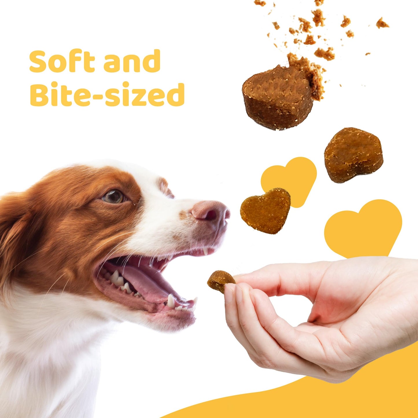 iPaw Dog Treats for Puppy Training, All Natural Human Grade Soft Dog Treat with Probiotics, Hypoallergenic, Easy to Digest (Beef)