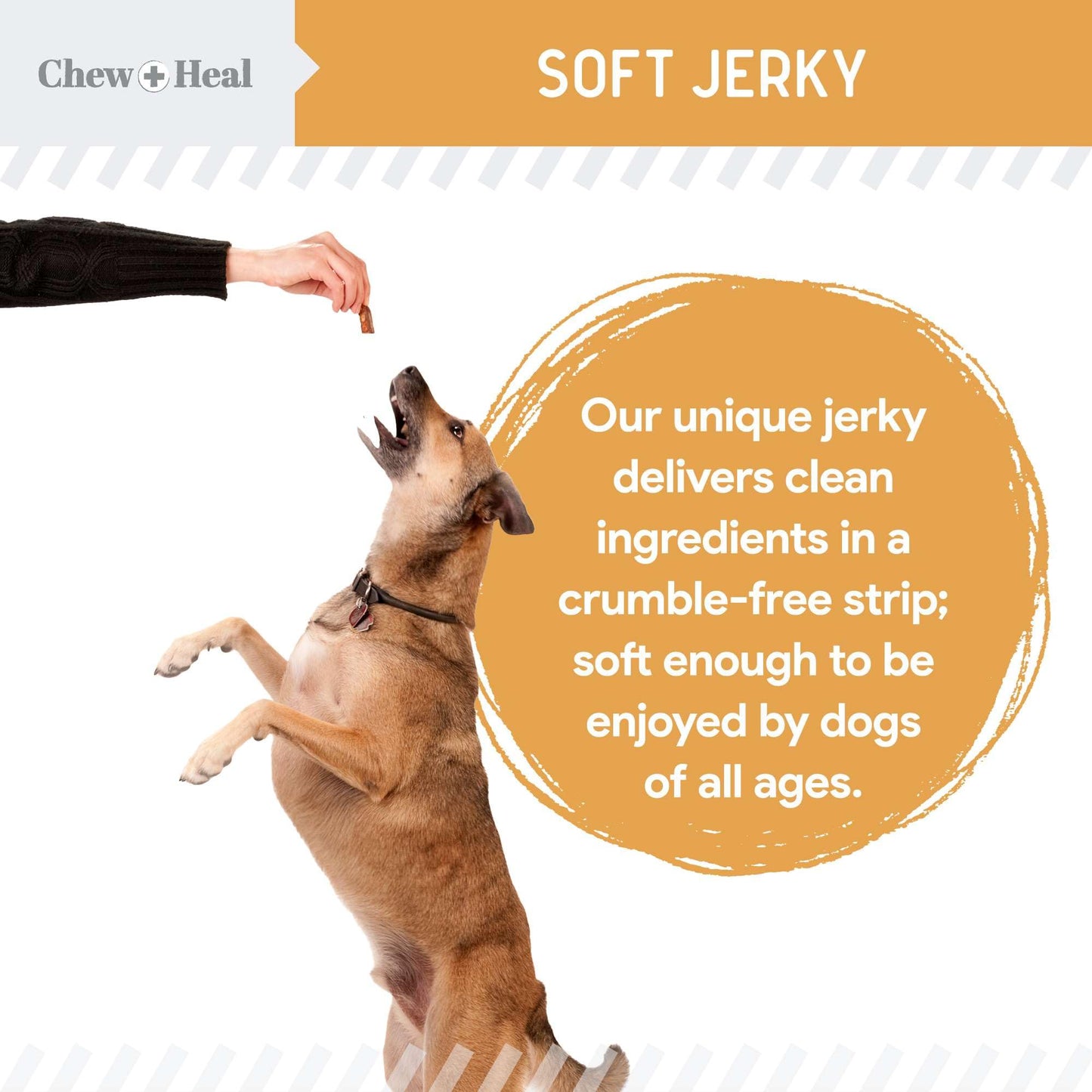 Chew + Heal Labs Omega Soft Wild Caught Alaskan Salmon Jerky 12oz - Natural Salmon Jerky Dog Training Treats for Skin & Coat - Soft Dog Chews with Flaxseed & Oat Flour - Made in USA