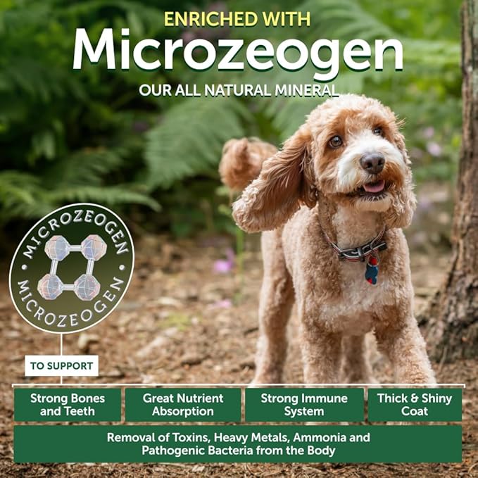 Nature's Protection Superior Care Grain-Free Dry Dog Food - High Protein, Coat Shine Dog Food for Small & Mini Breeds Red Coated All Life Stages Dogs, Fresh Pet Meal, Salmon, 3.3 lb