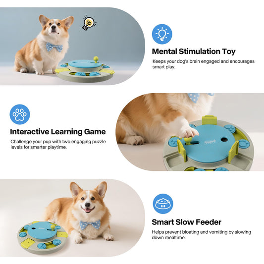 PAWISE Dog Puzzle Feeder Toy,Fun Slow Feeder 3 Levels, Pup Food Treat Dispenser for IQ Training & Mental Enrichment, Interactive Gift for Smart Dogs,Ideal for Small Dogs (Blue & Gray, Round)