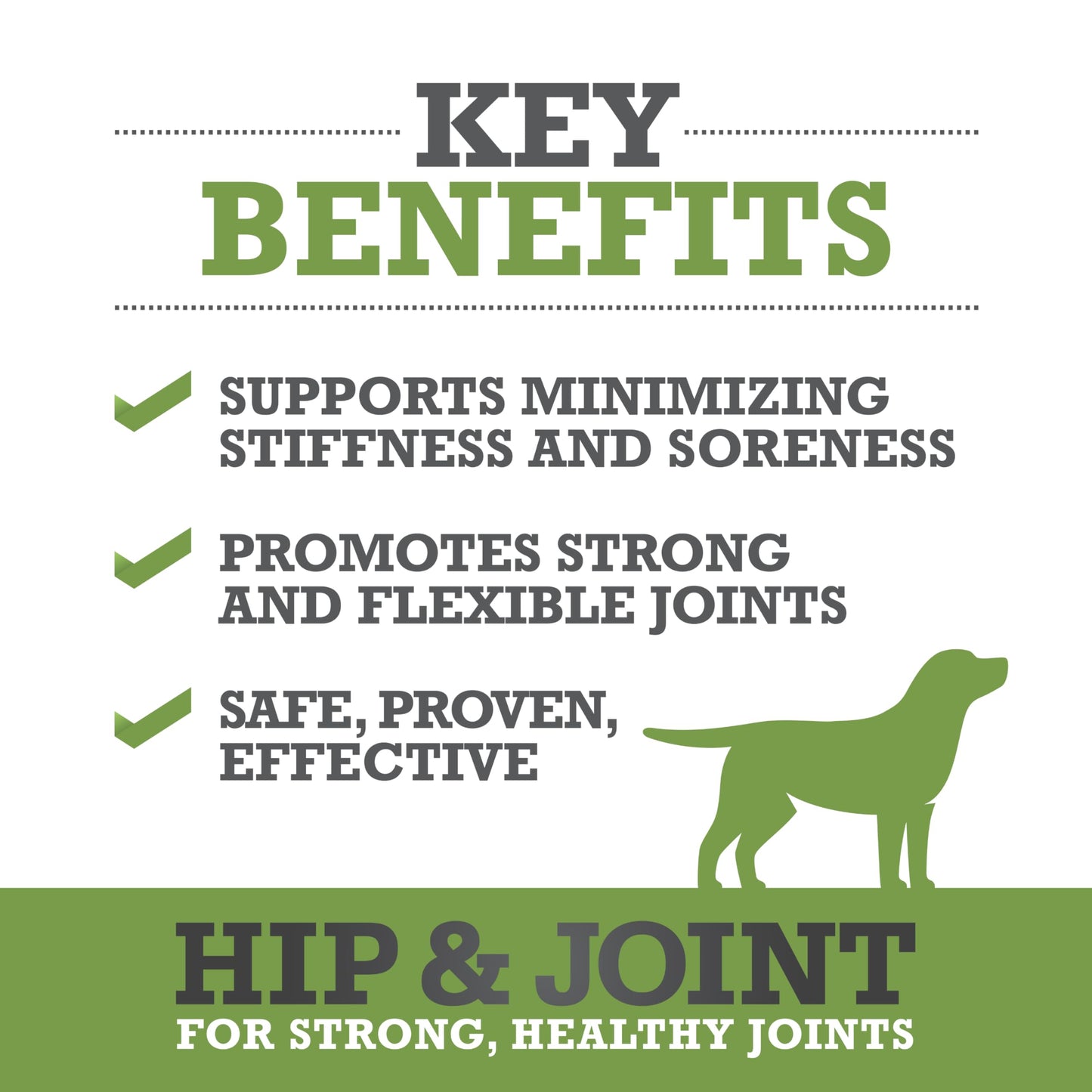 WINPRO All-Natural Allergy Relief and Hip and Joint Support, 120 Chews, Plasma Powered Grain Free Soft Chews Providing Relief from Itchy, Irritated Skin, Support for for Strong, Healthy Joints