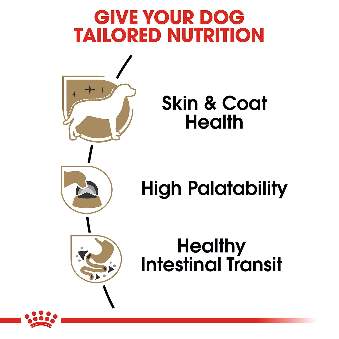 Royal Canin Breed Health Nutrition Chihuahua Adult Loaf in Sauce Dog Food, 3 oz (Pack of 6)