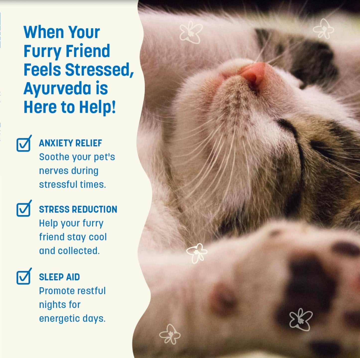 Furpect Keepin' Calm, Natural Herbal Tincture, Anxiety Relief for Dogs & Cats from Stress, Fireworks, Motion, Separation, Storm. Ashwagandha, Herbal Calming, Sleep and Stress Relief Aid, 60ml.