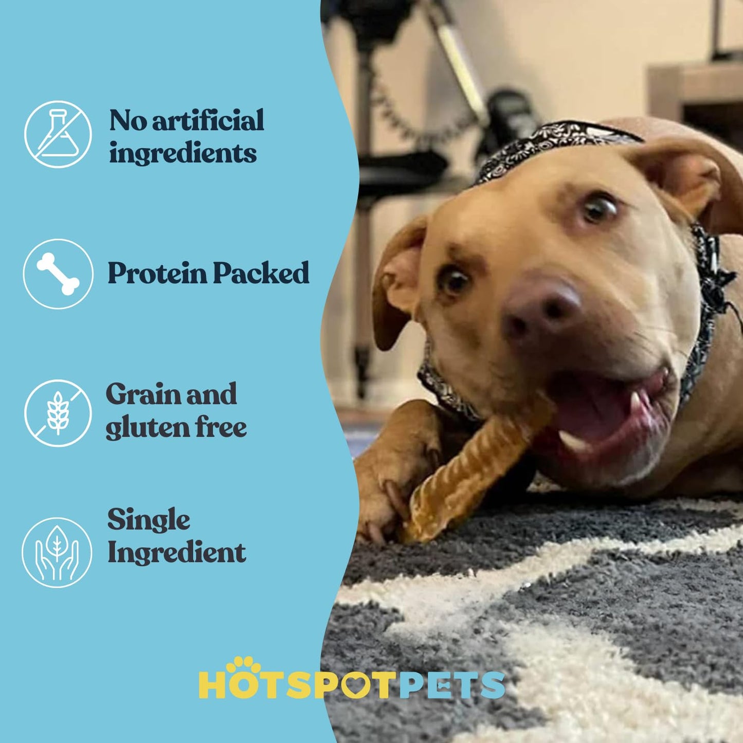 hotspot pets Premium Beef Trachea for Dogs 6" Strips Split - (40 Pack) All Natural Grass-Fed Beef Dog Chews, Rich in Glucosamine Chondroitin for Joint Health, Single Ingredient No Rawhide Dog Treats