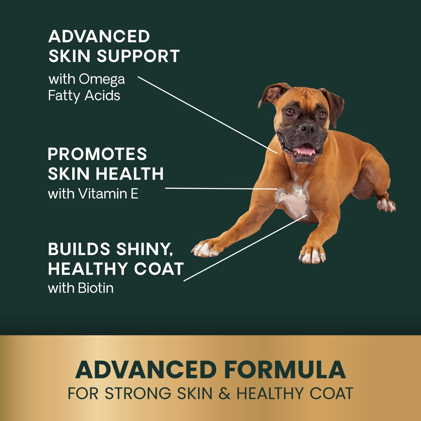 VetriScience Extra Strength Healthy Skin & Coat Chews, Omega Plus Supplement for Dogs, with Balanced Omega 3, 6, 9, Fish Oil and Biotin, Skin Health, Coat Growth and Shine, Duck, 40 Count