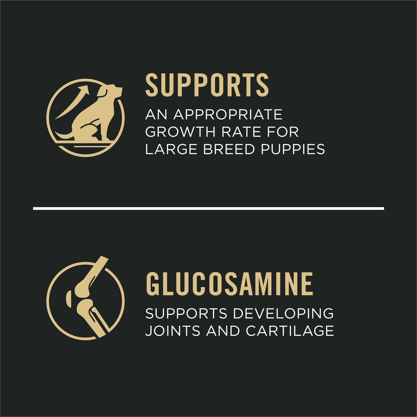 Purina Pro Plan Large Breed Dry Puppy Food, Chicken and Rice Formula - 18 lb. Bag