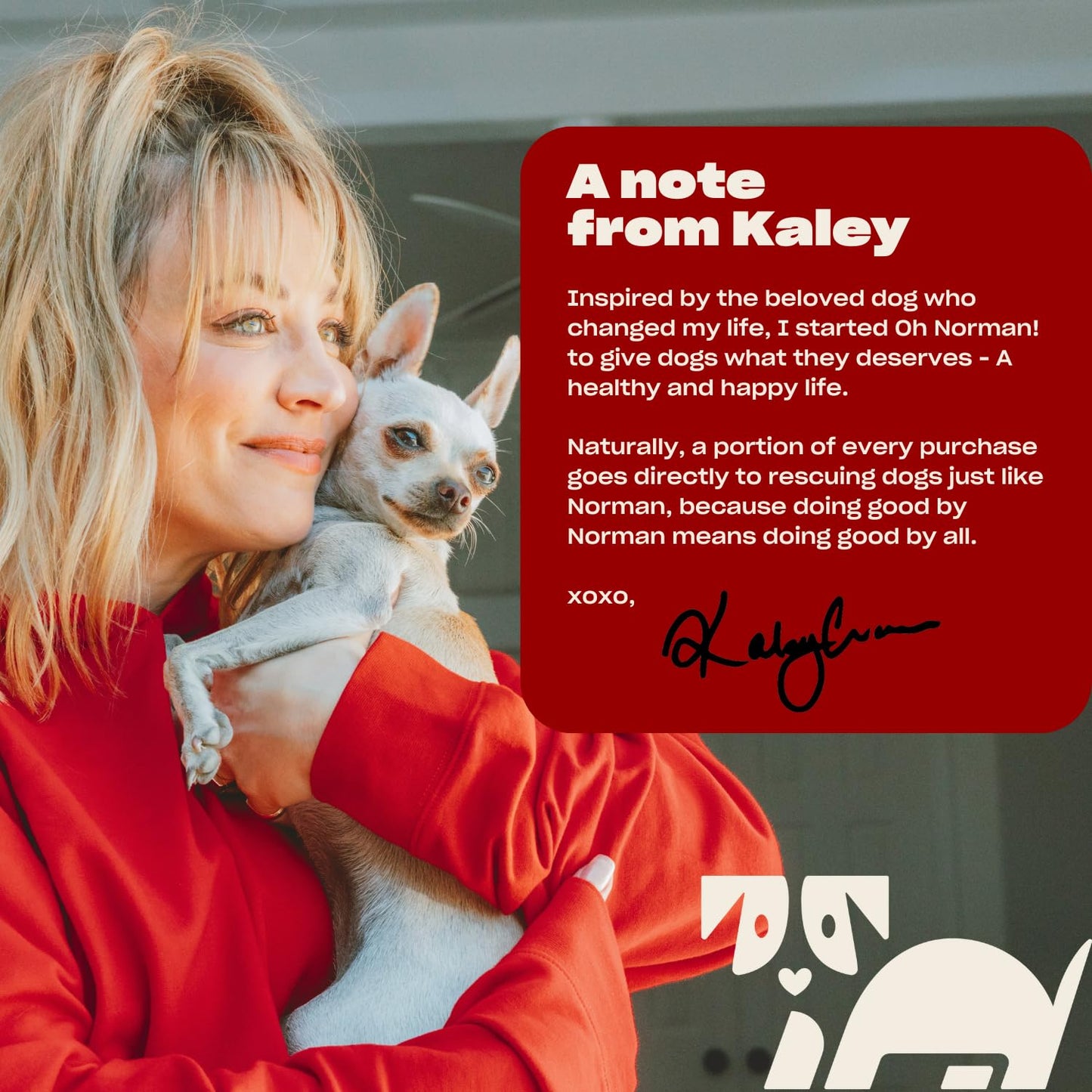 OH NORMAN! Hypoallergenic Magic Mandarin Scent Fresh and Foamy Dry Shampoo for Dogs by Kaley Cuoco - 7.1 Fl Oz Cruelty-Free Waterless Dog Shampoo No Rinse