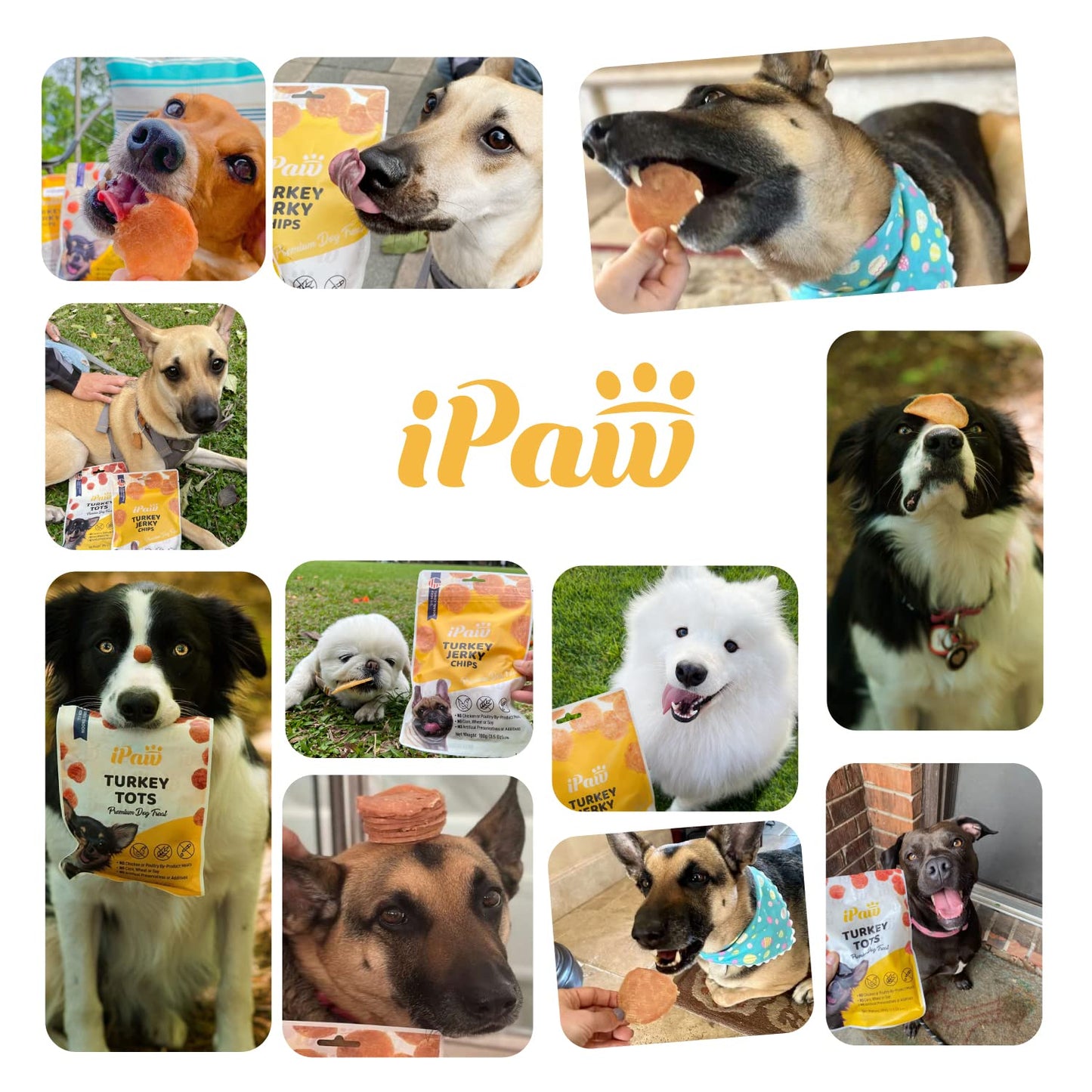 iPaw Dog Treats for Puppy Training, All Natural Human Grade Soft Dog Treat with Probiotics, Hypoallergenic, Easy to Digest (Beef)