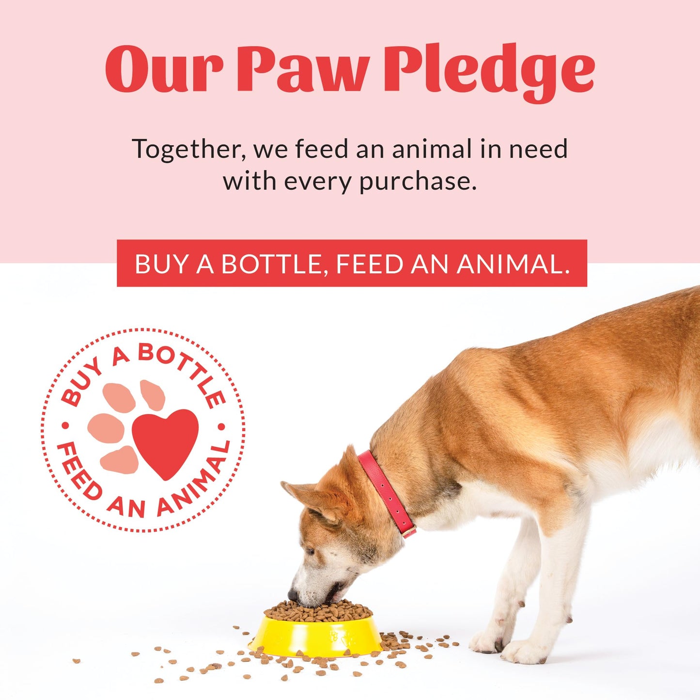 Skout's Honor Puppermint Probiotic Dog Shampoo - for Naturally Balanced and Healthier Looking Skin, Itchy Skin Relief, Healthy Coat & Skin, Avocado Oil, 16 oz