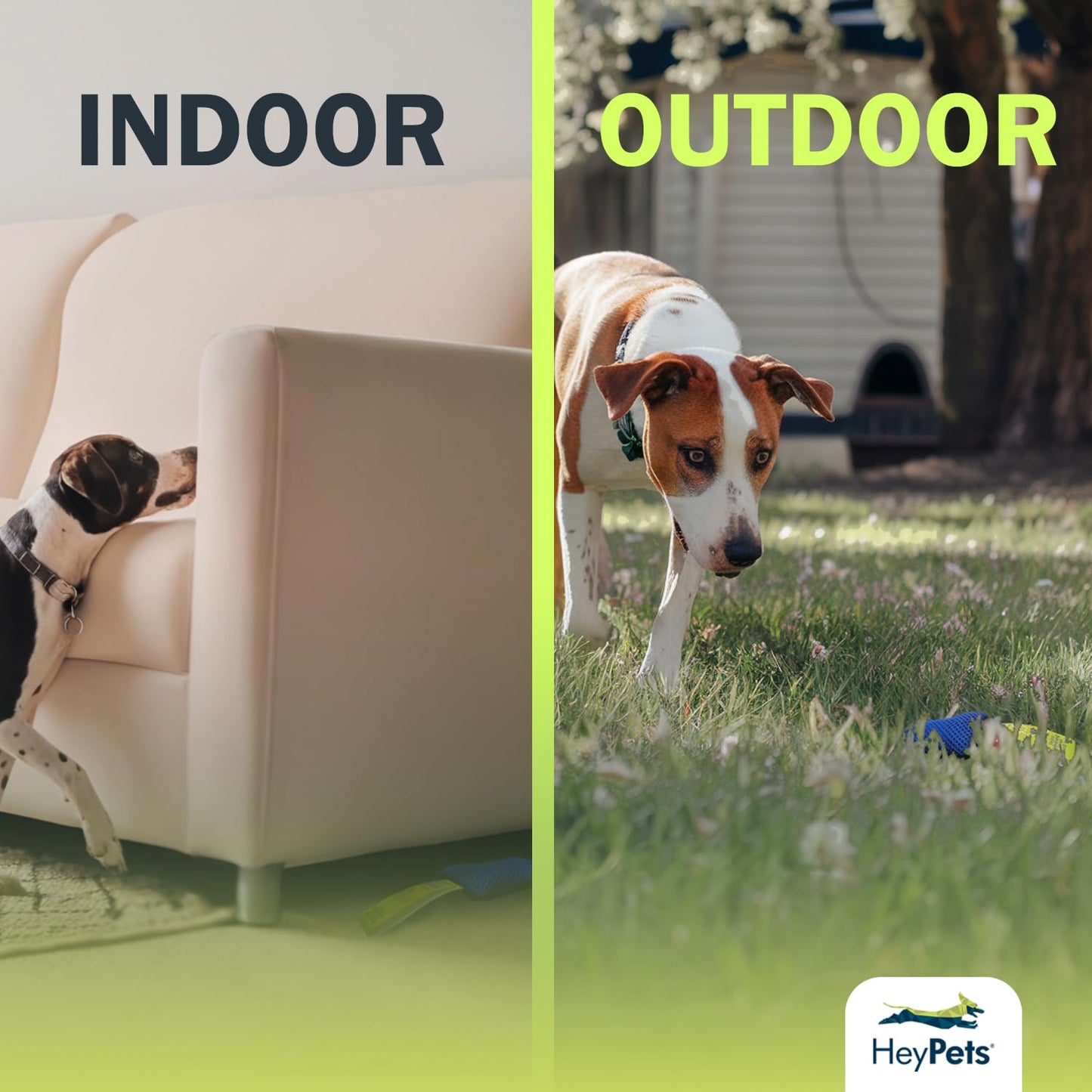 Find Fur Fun Scent Training Game for Dogs | Brain Games for Dogs, Mental Stimulation for Dogs, Games for Dogs, Scent Training for Dogs, Brain Training for Dogs, Dog Training Games