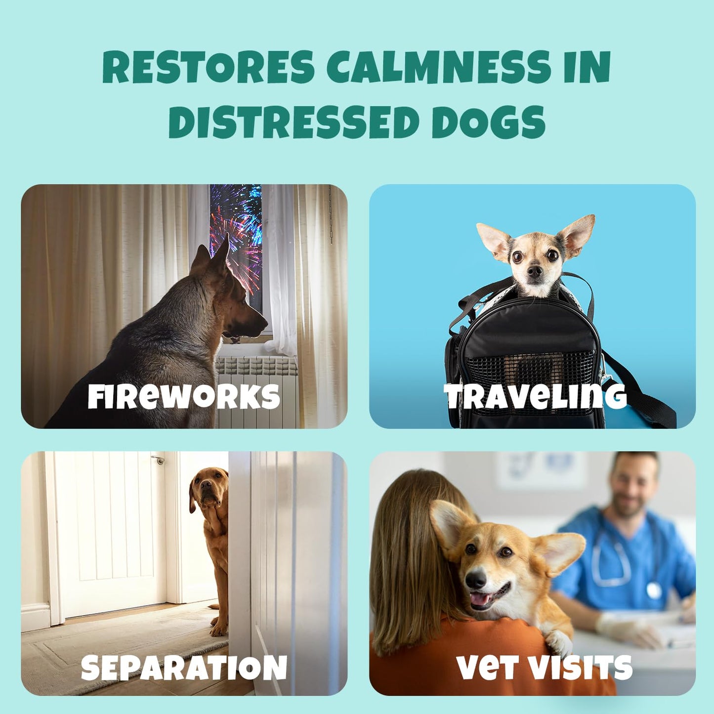 Petipet Calming Chews for Dogs - Plant-Based Calming Supplement w/Melatonin+Chamomile - Calming Aid Soft & Chewy Treats for Relaxing, Stress, Separation, Anxiety Relief, Puppies, Small & Large Breeds