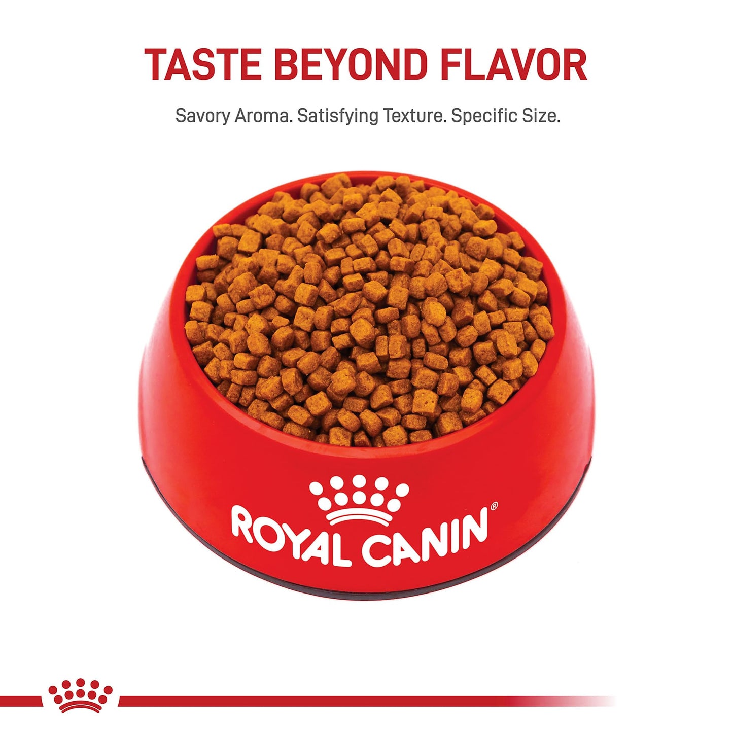 Royal Canin Breed Health Nutrition Poodle Puppy Dry Dog Food, 2.5 lb Bag