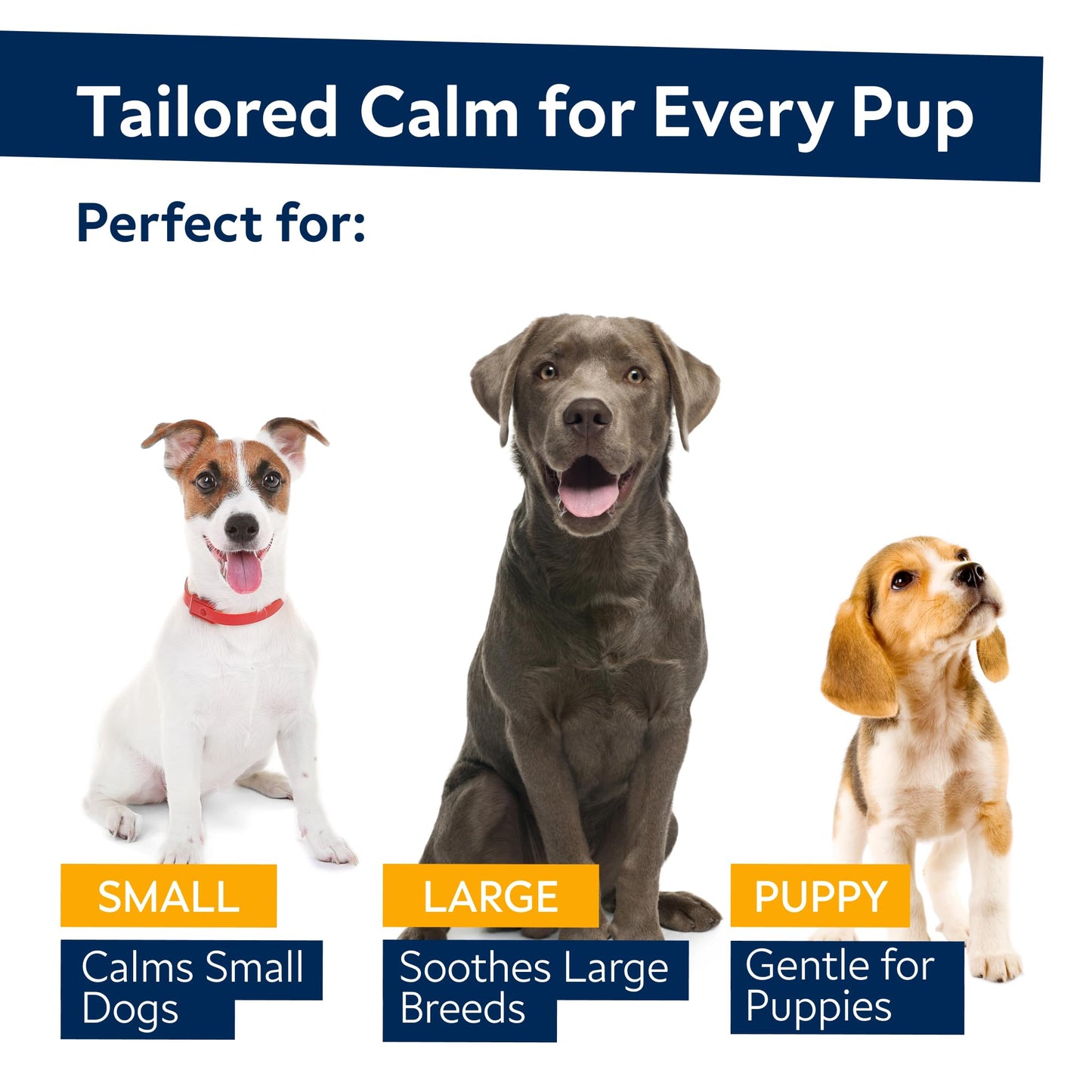 Hemp Calming Chews for Dogs - Advanced Dog Calming Treats - Dog Calming Chews - Anxiety Relief Treats - Separation Aid, Barking, Stress Relief, Thunderstorms - Melatonin - Hemp Oil - 120Ct - Bacon