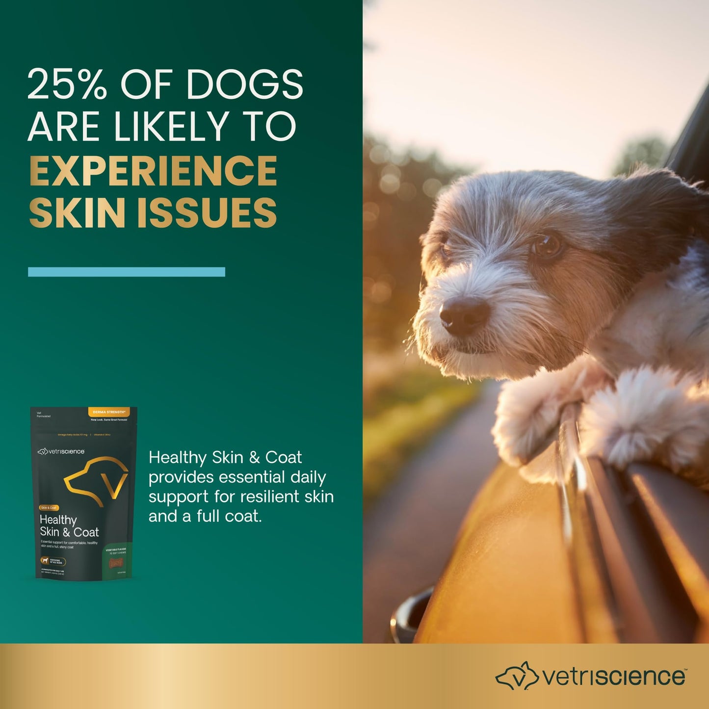 VetriScience Healthy Skin & Coat Chews, Derma Strength Omega-3 Salmon Oil Supplement for Dogs, Omega Skin and Coat Chews, Skin Health, Coat Growth, Fish Oil and Vitamin E, Veggie, 70 Count