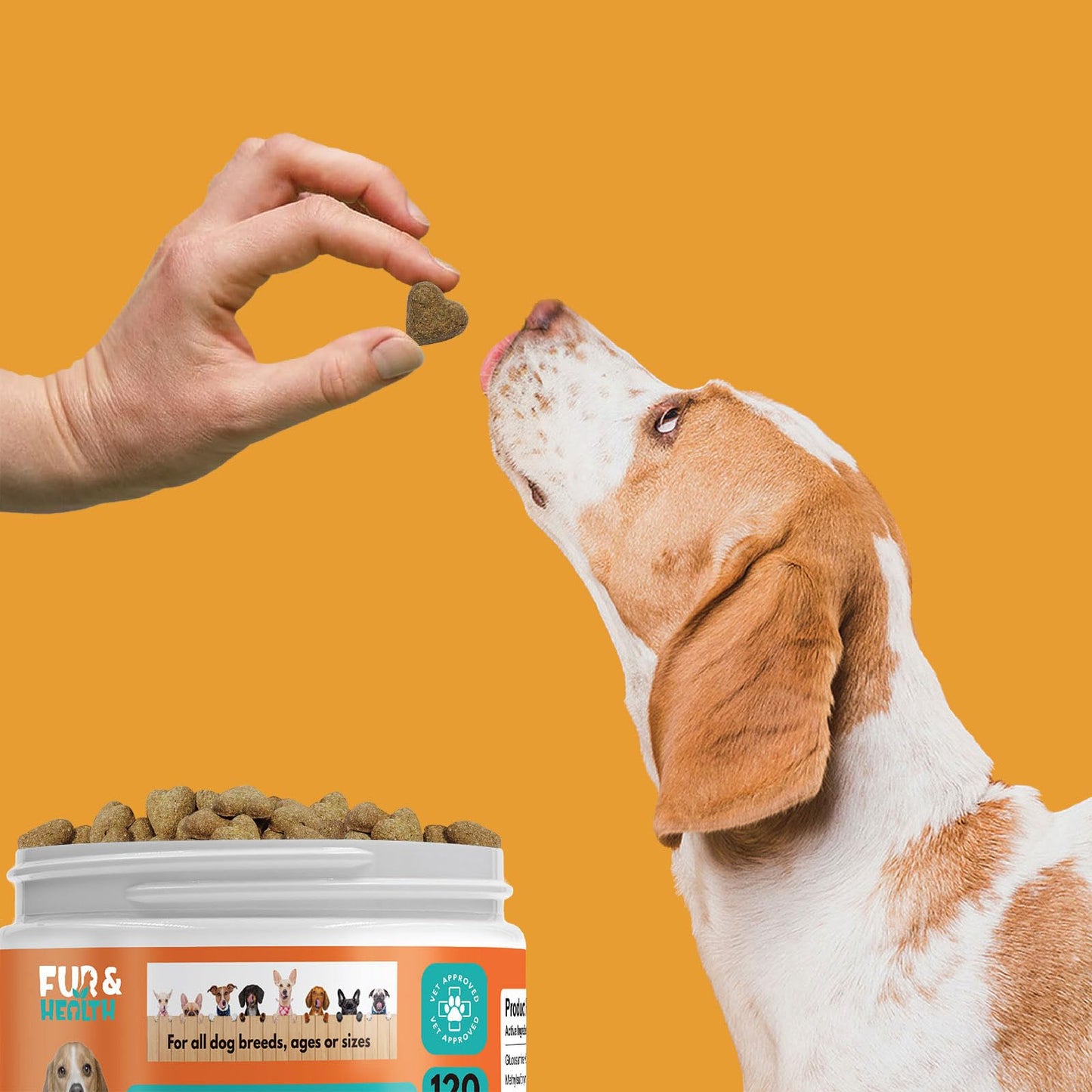 Fur & Health Probiotics for Dogs - Natural Digestive & Allergy Relief Soft Chews with Prebiotics & Enzymes - Dog Yeast Infection Treatment & Immune Support - Chicken Flavor, 120 Chews