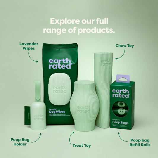 Earth Rated Dog Toy, Enrichment Toys for Adult and Puppy Dogs, Dishwasher and Freezer-Safe, Natural Rubber, Small, Green