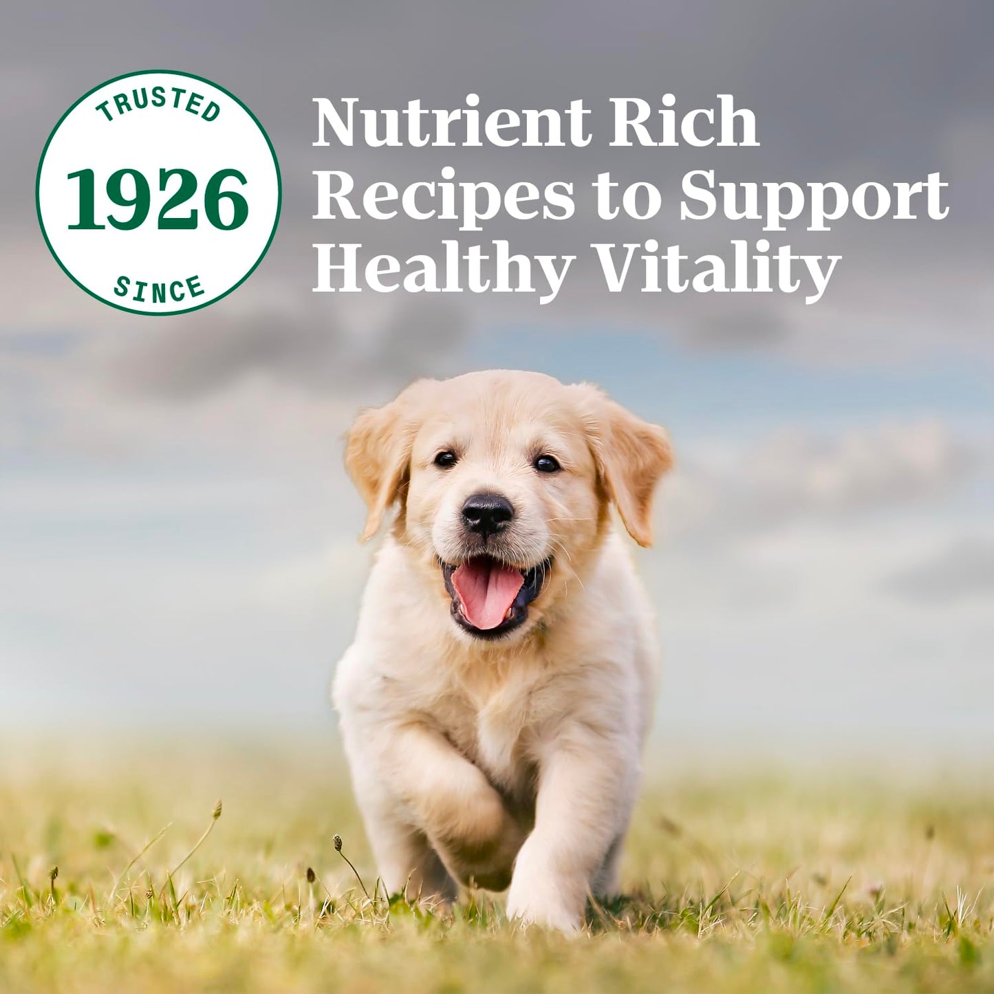 Nutro Natural Choice Puppy Dry Dog Food, Chicken and Brown Rice Recipe, 5 lbs.